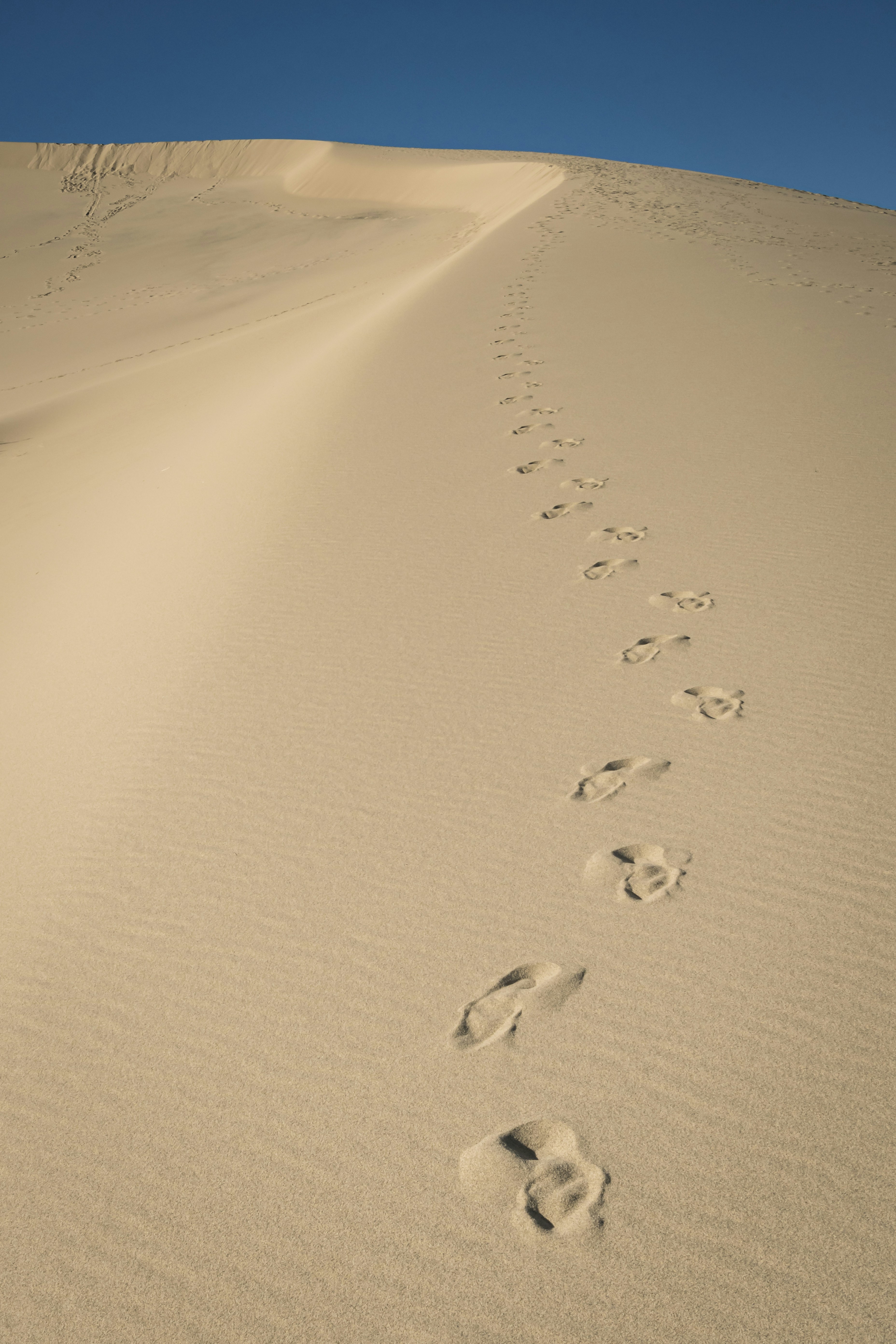 footprints along the sandhills, Eureka Sand Dunes, California