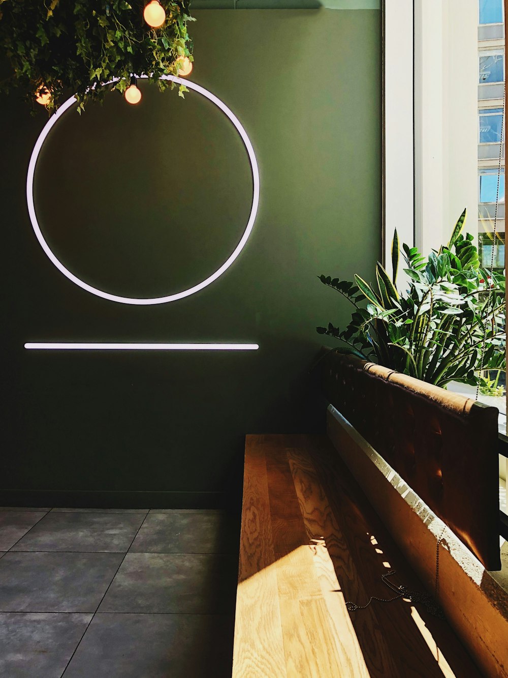 green plant on brown wooden table