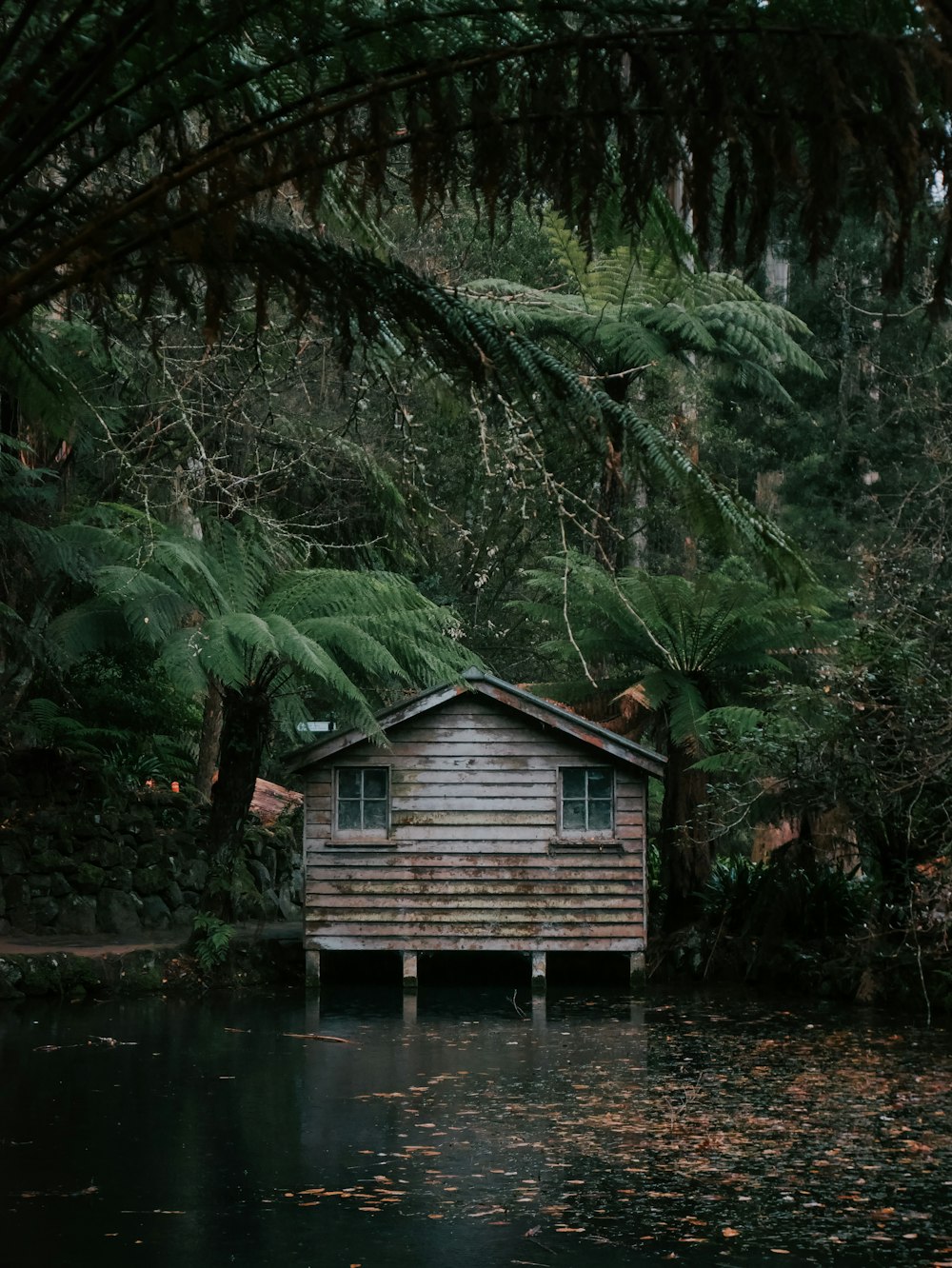 水域近くの茶色の木造家屋