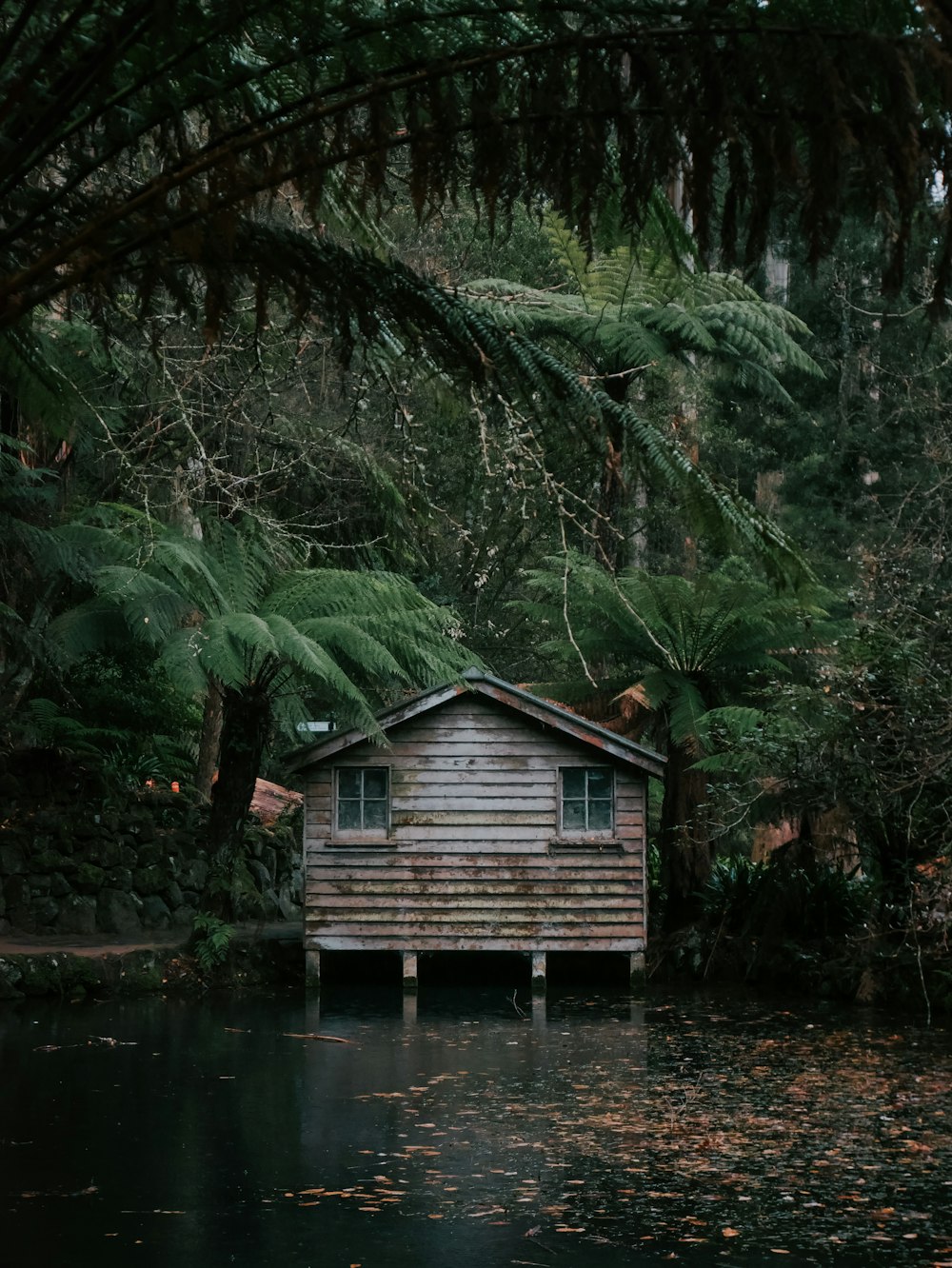 Maison en bois brun près d’un plan d’eau