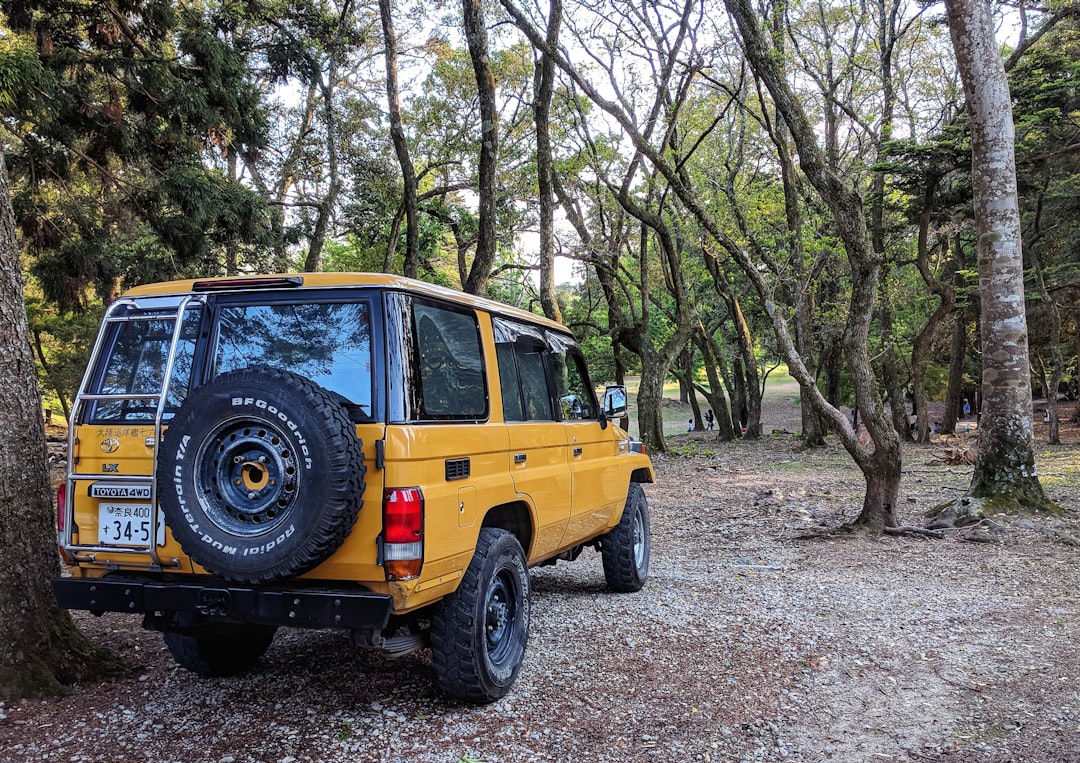 Top 10 Jeep Lift Kit For Daily Driver With Buying Guide
