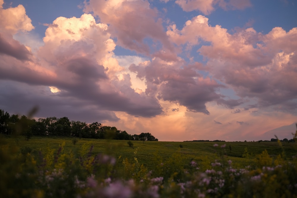 green grass field under cloudy sky during daytime