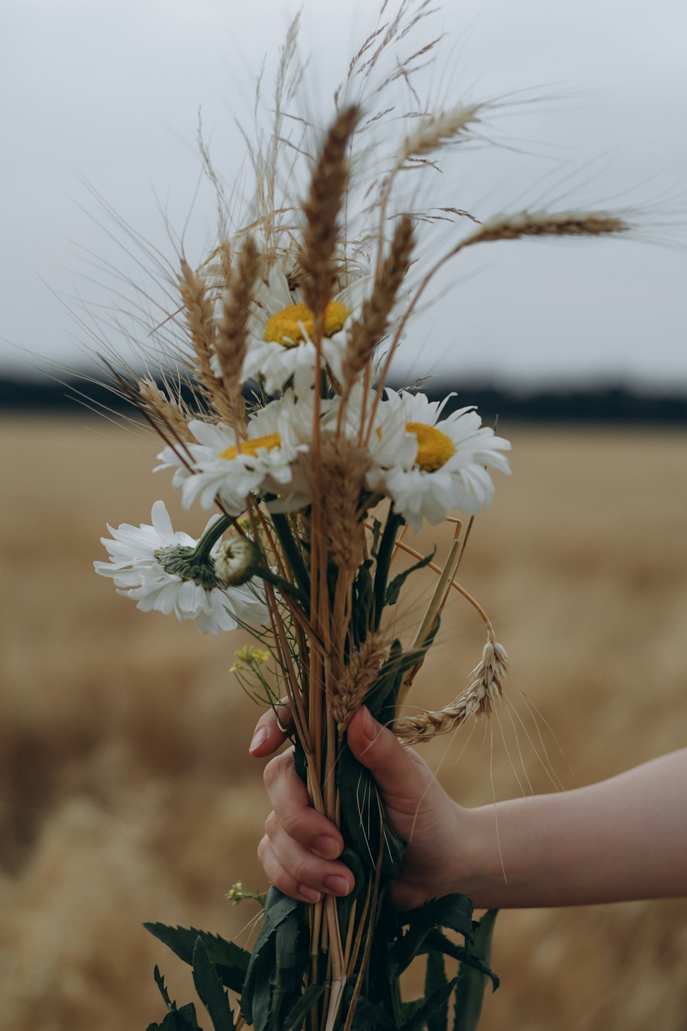 person holding white and yellow flowers