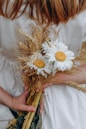 white and yellow daisy flower