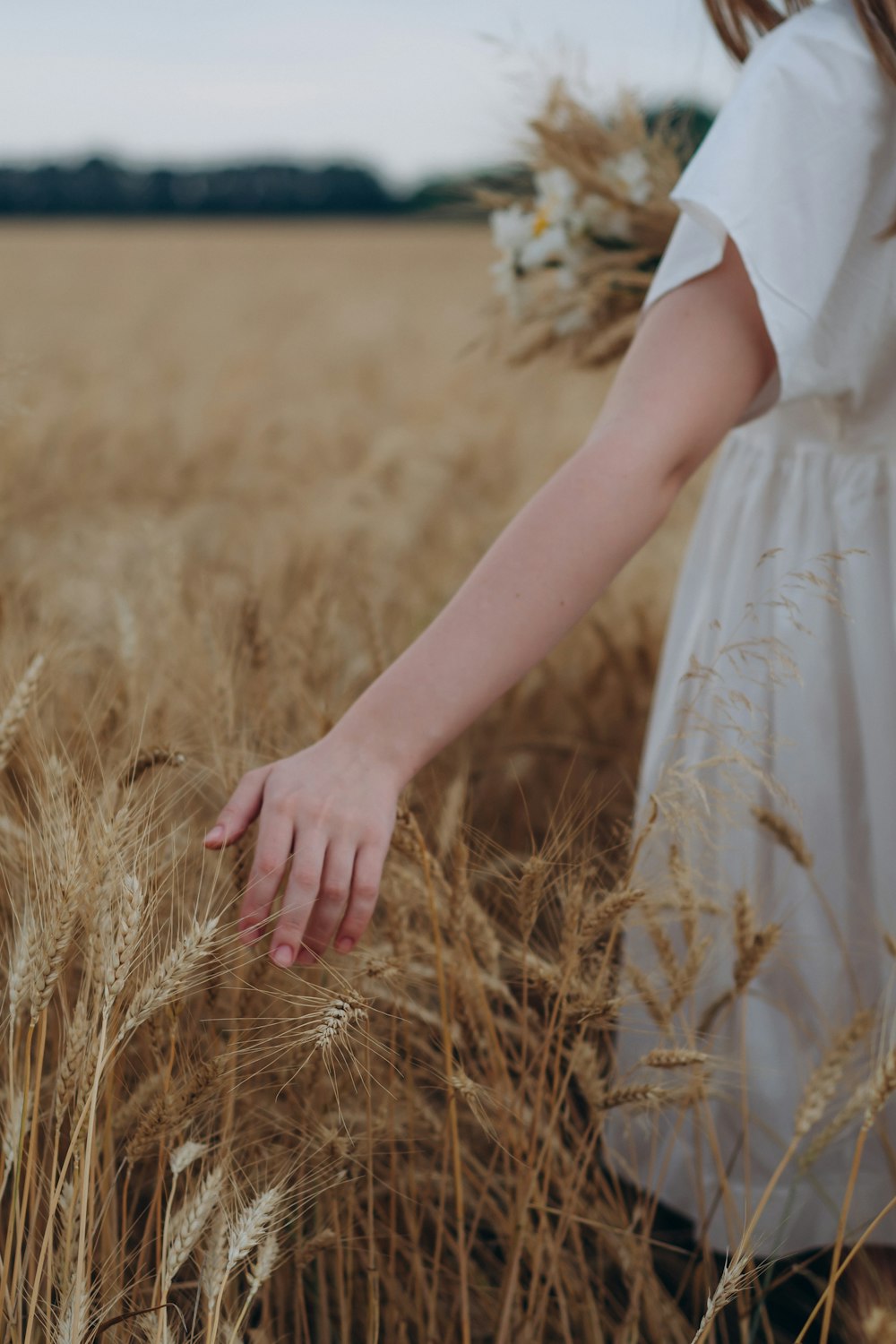 woman in white dress holding brown wheat