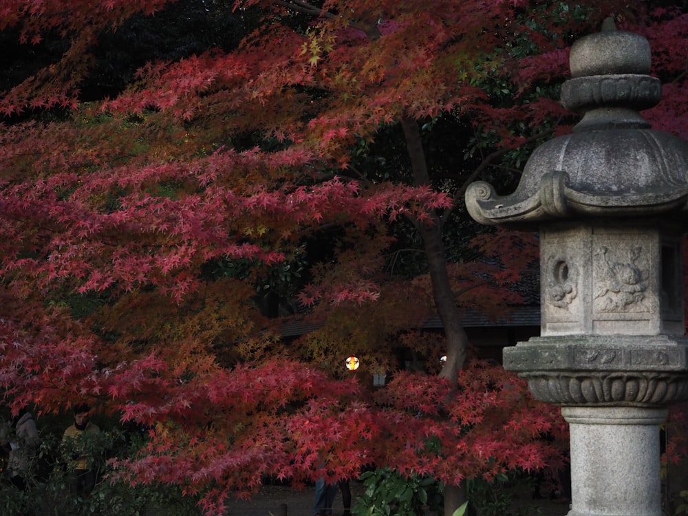 red and brown leaves on gray concrete outdoor fountain