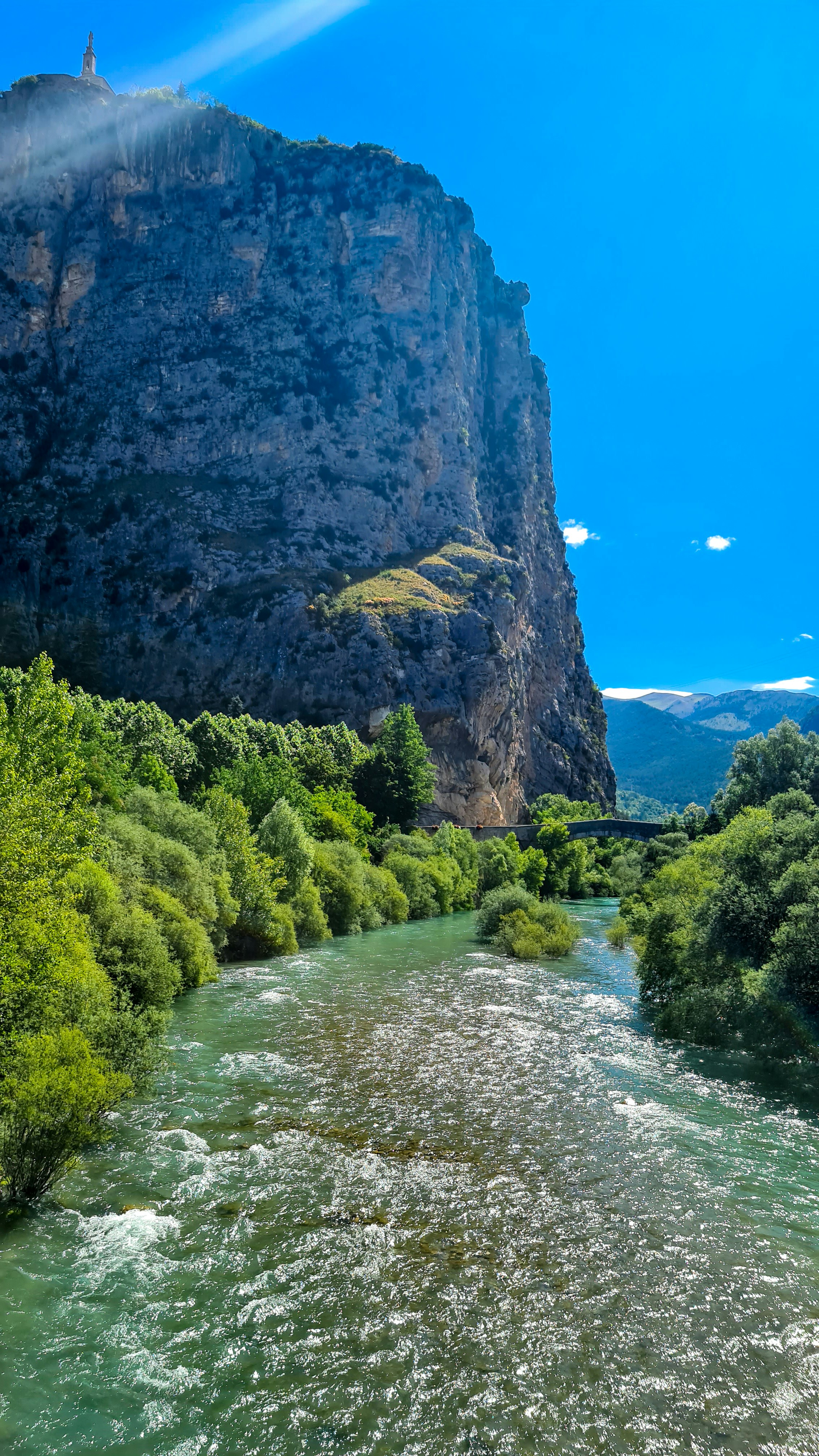 green trees near river during daytime