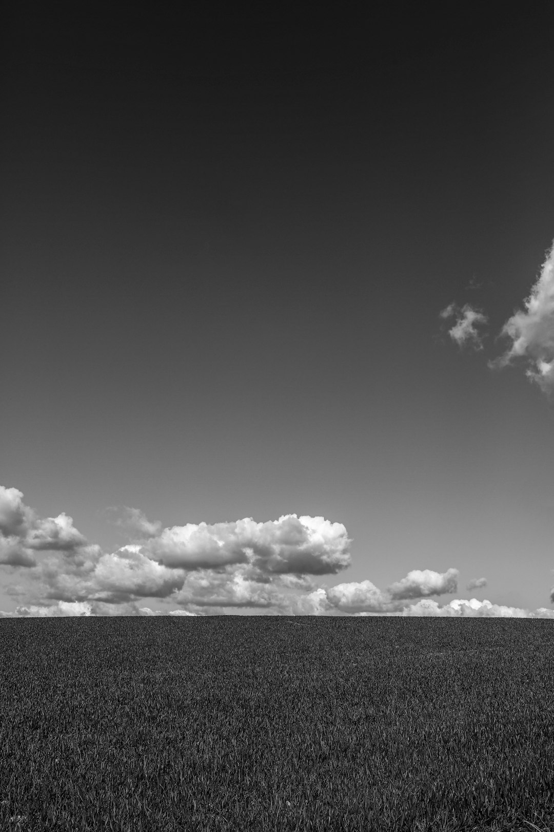 grayscale photo of clouds in sky