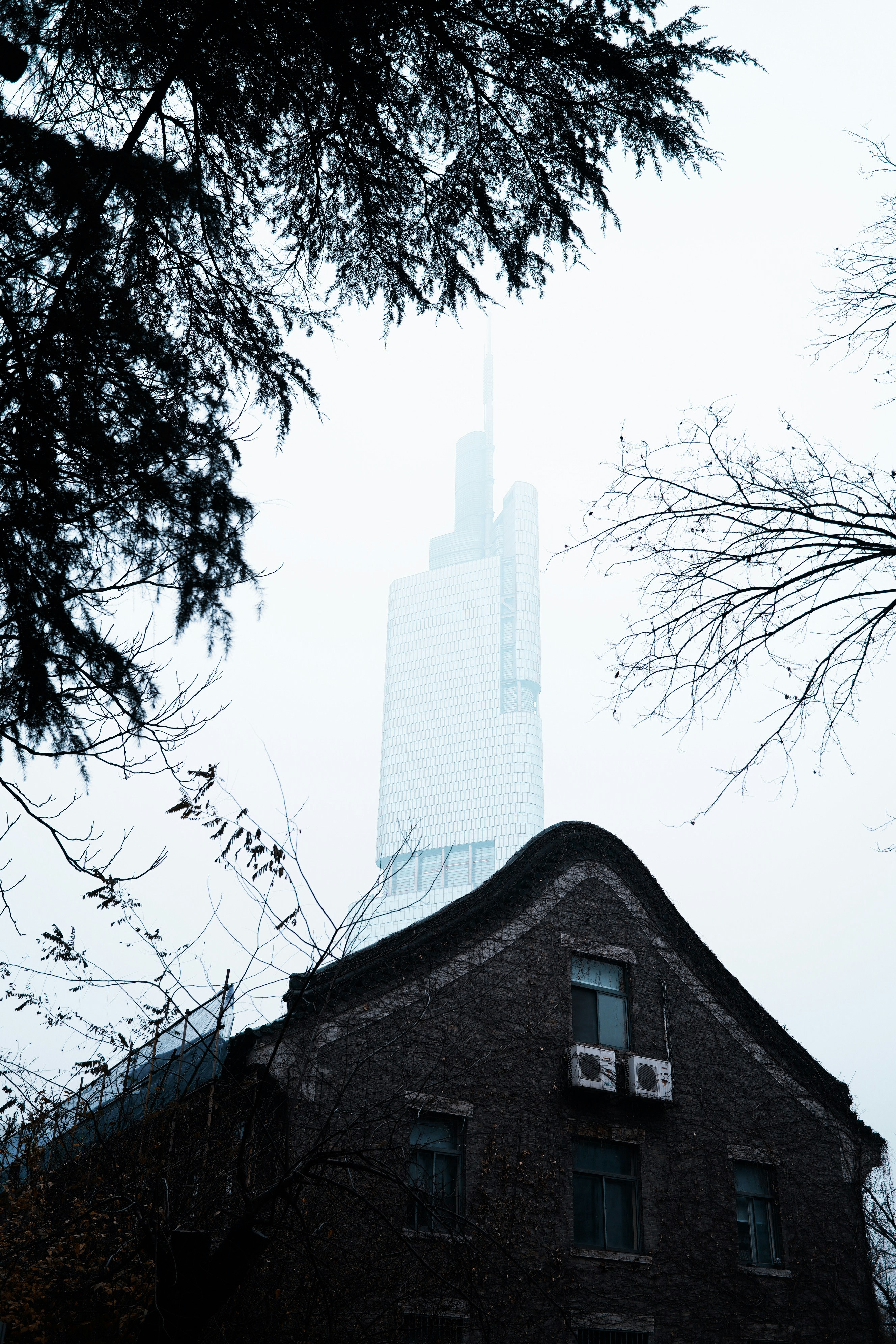 white concrete building near bare trees during daytime