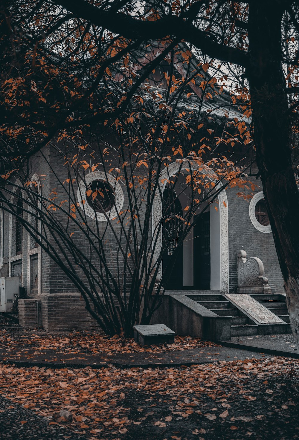 brown tree near white concrete building