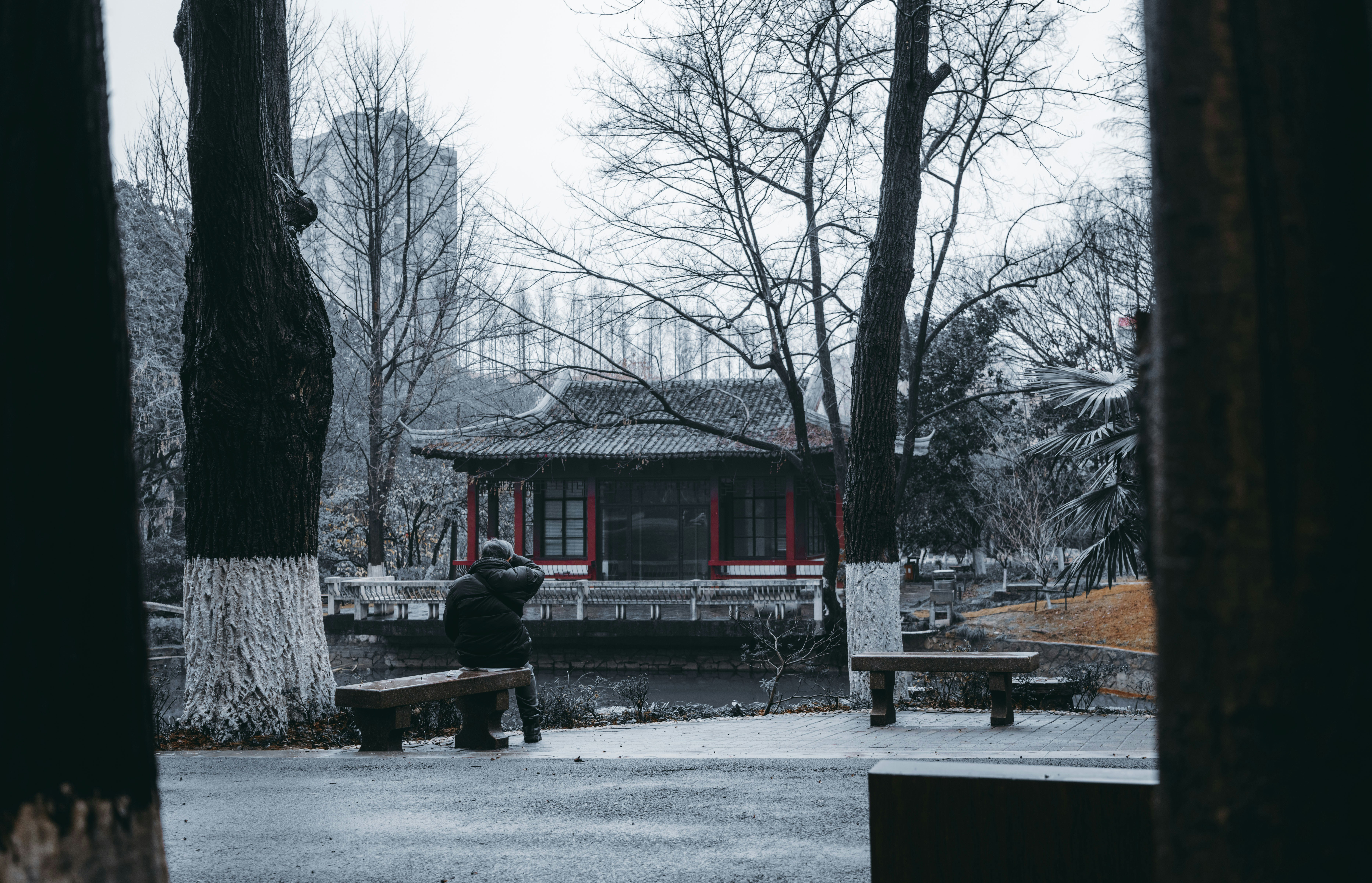 person sitting on bench near bare tree during daytime