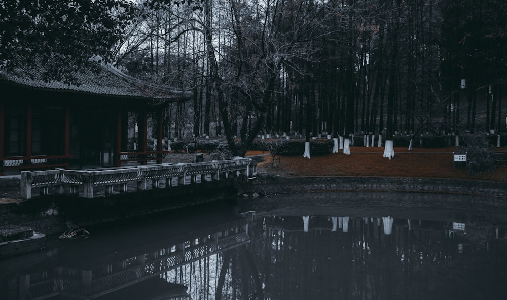 brown wooden house near trees and river during daytime