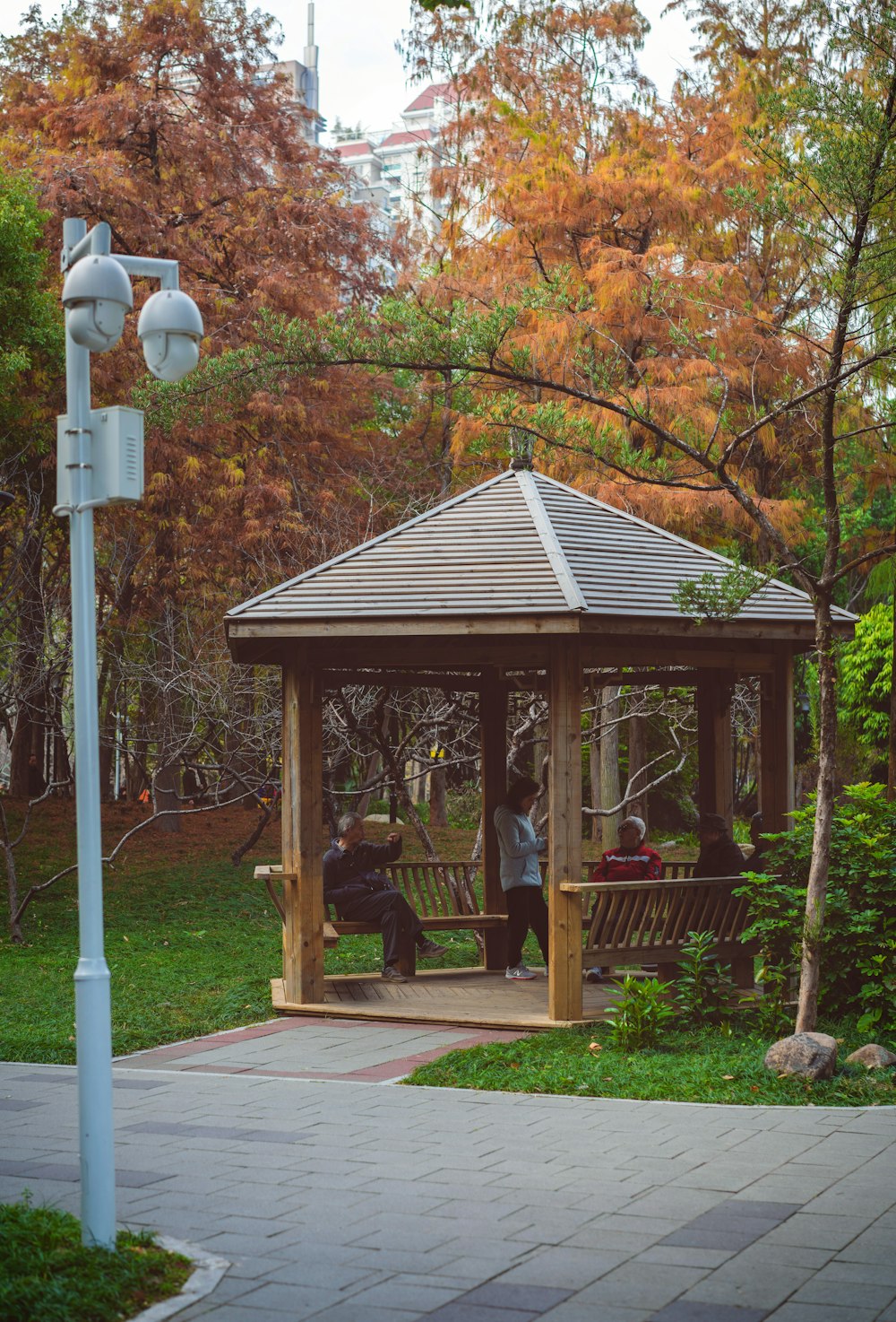 brown wooden gazebo near trees during daytime