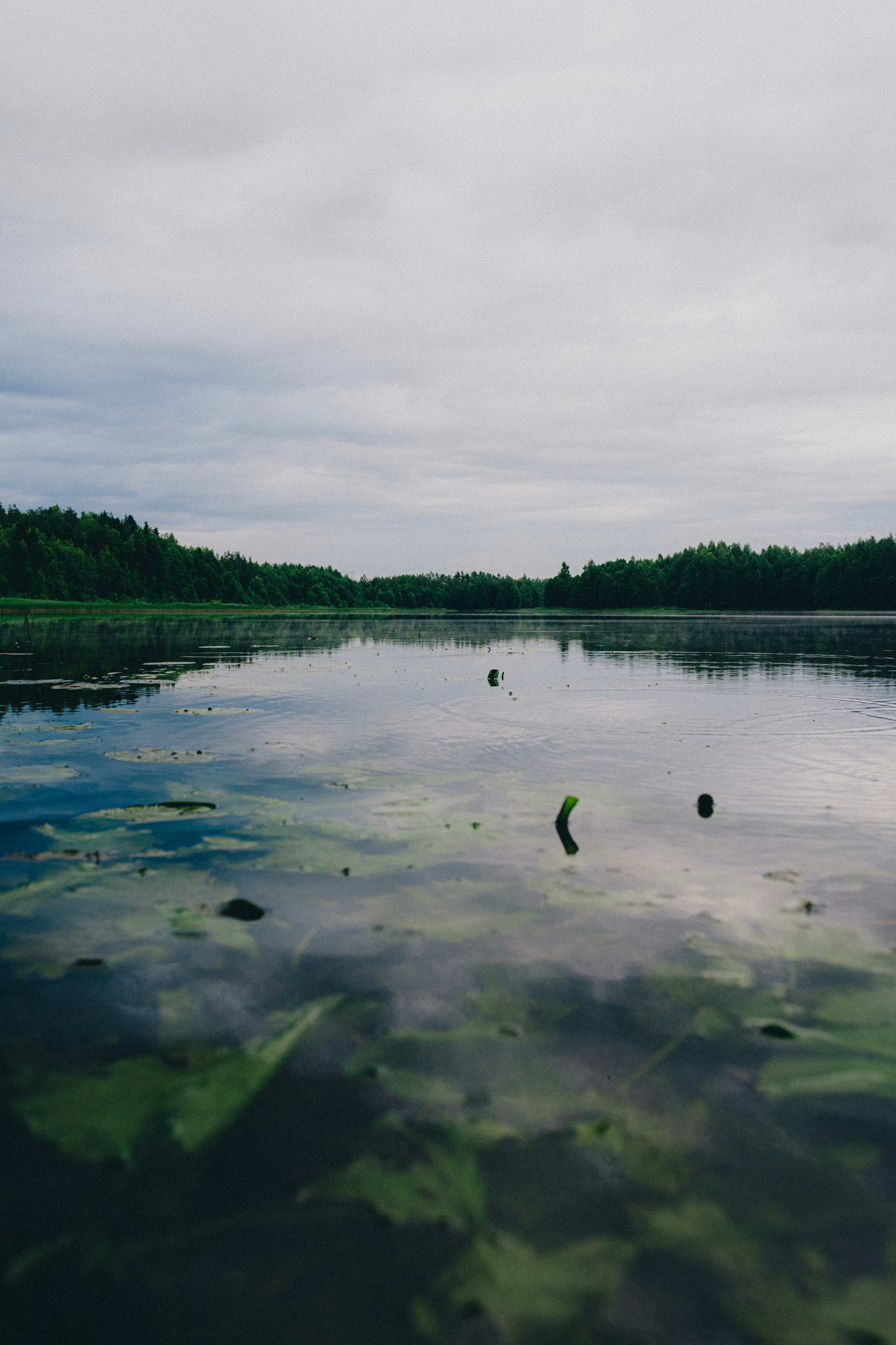 Photo by siimlukka