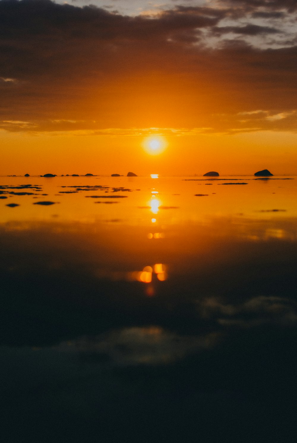 silhouette of birds flying over the sea during sunset