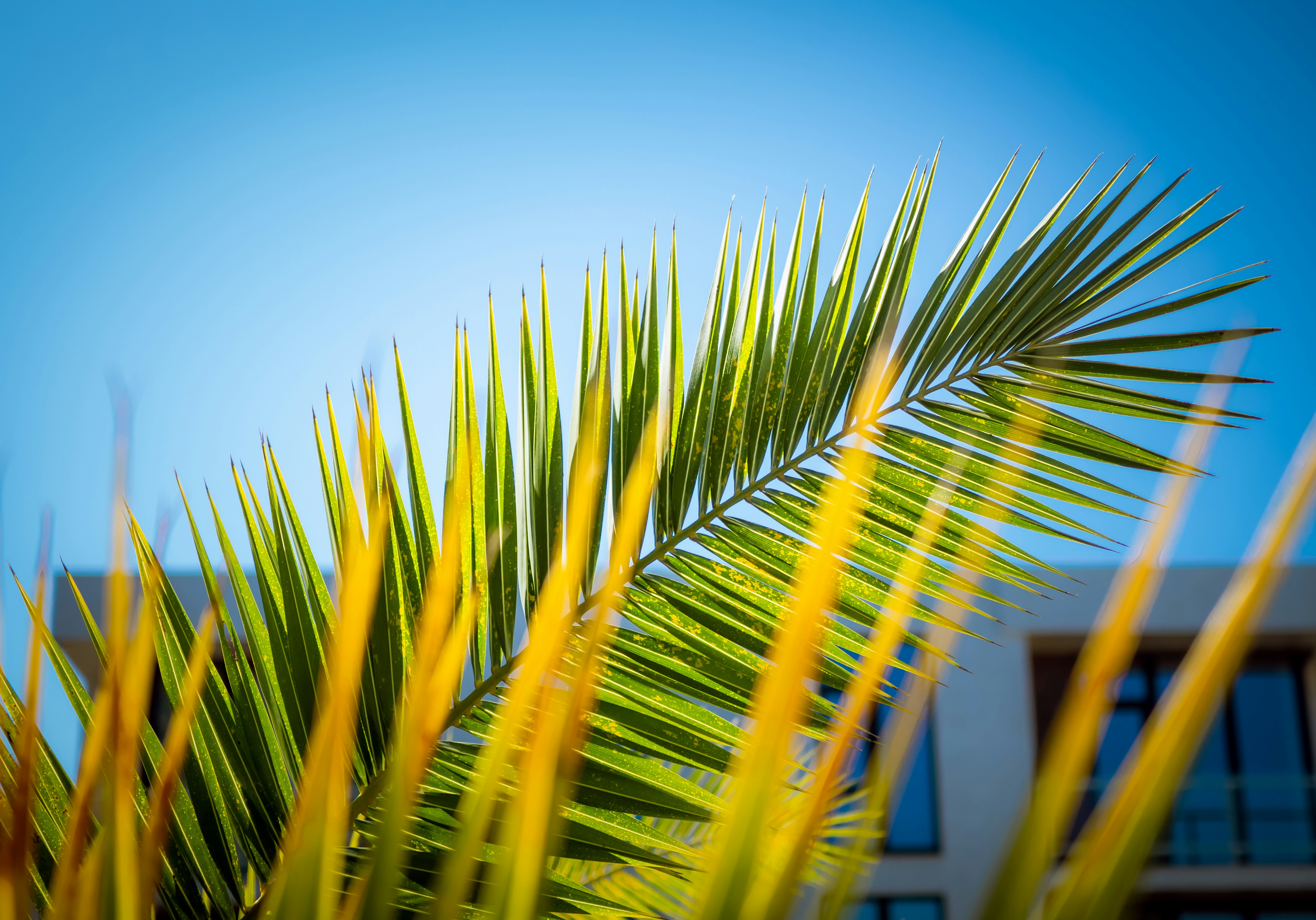 Photo by spacedezert