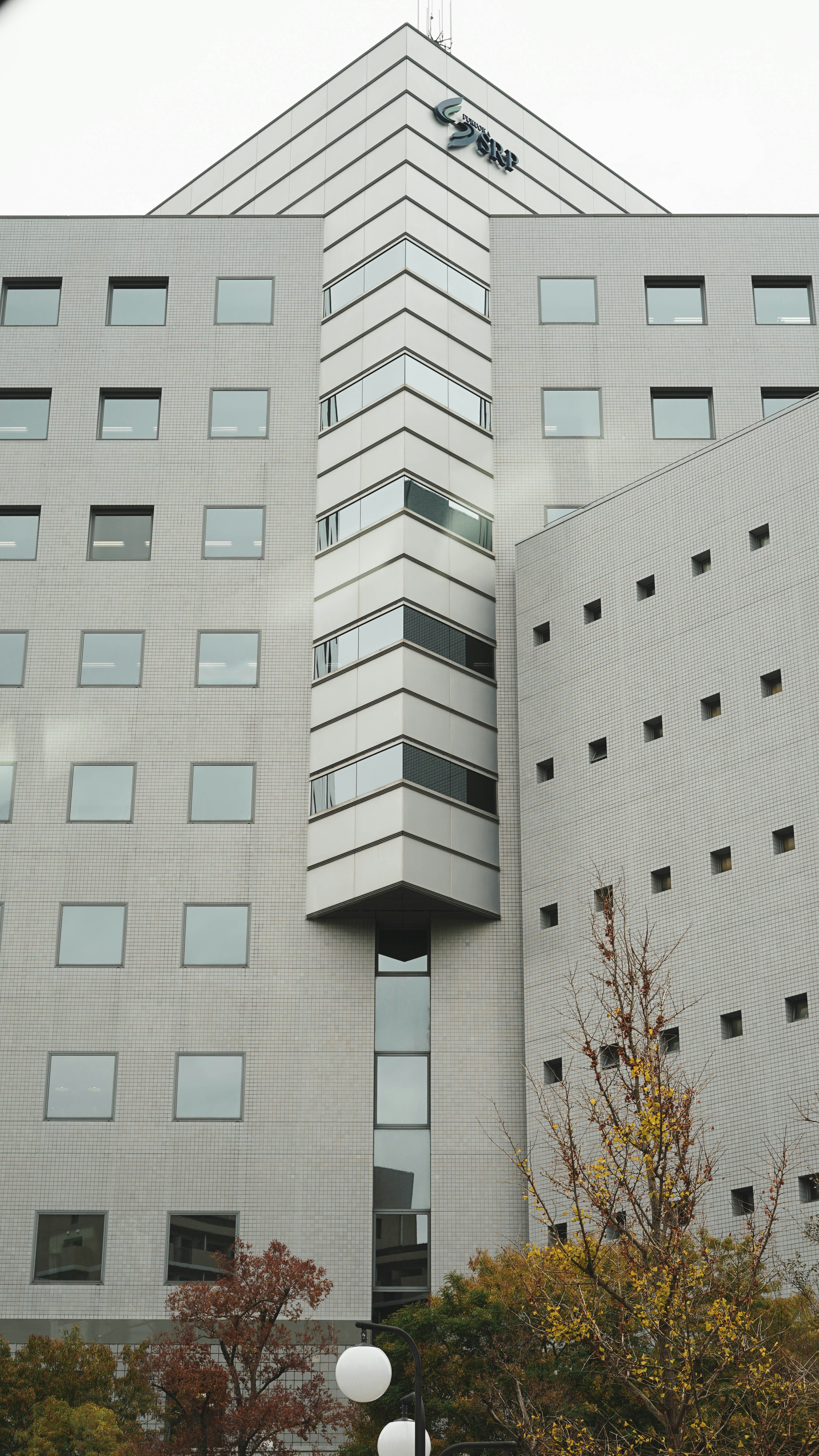 brown bare tree in front of white concrete building