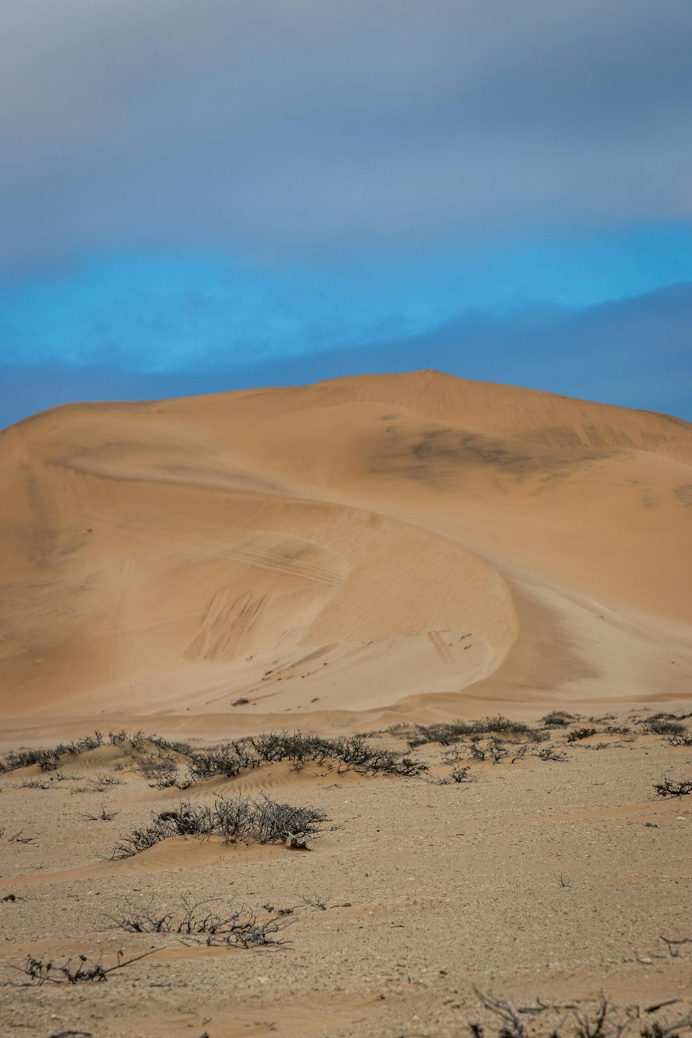 areia marrom sob o céu azul durante o dia