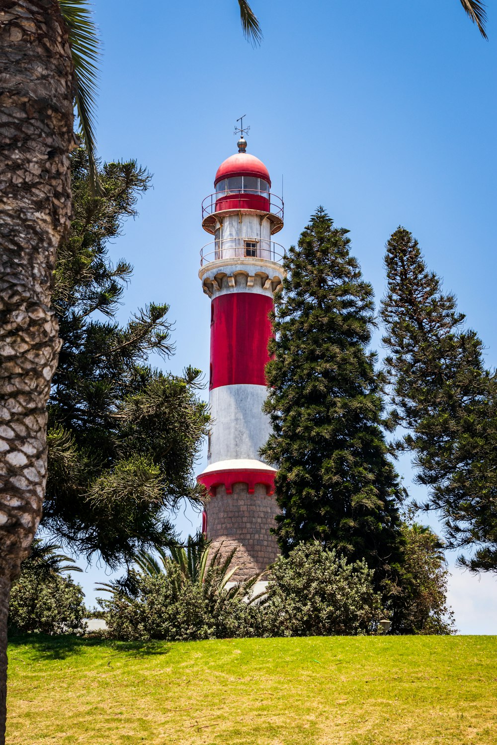red and white lighthouse near green trees during daytime