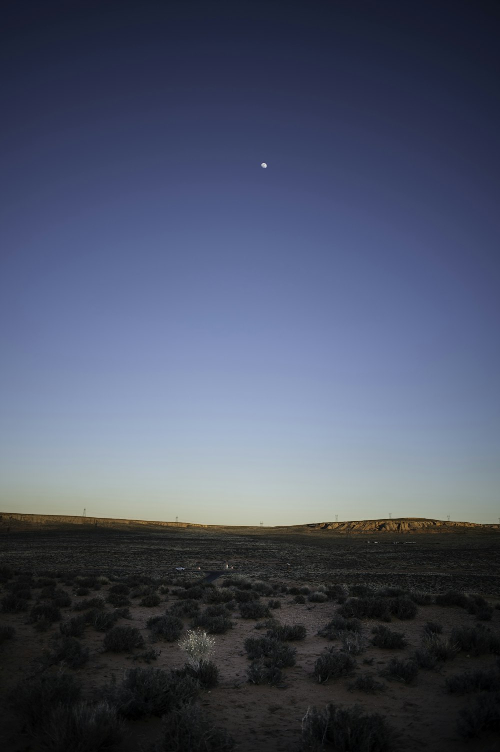 Campo marrón bajo el cielo azul durante el día