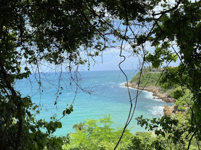 Wide shot of Xanadu 8 blending into the tropical landscape with the ocean visible in the distance.