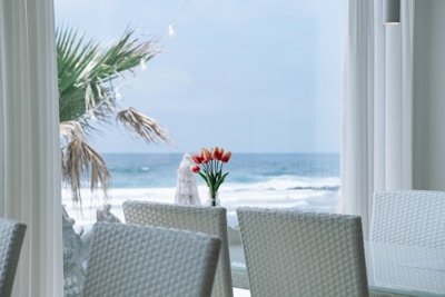 red flower on white table