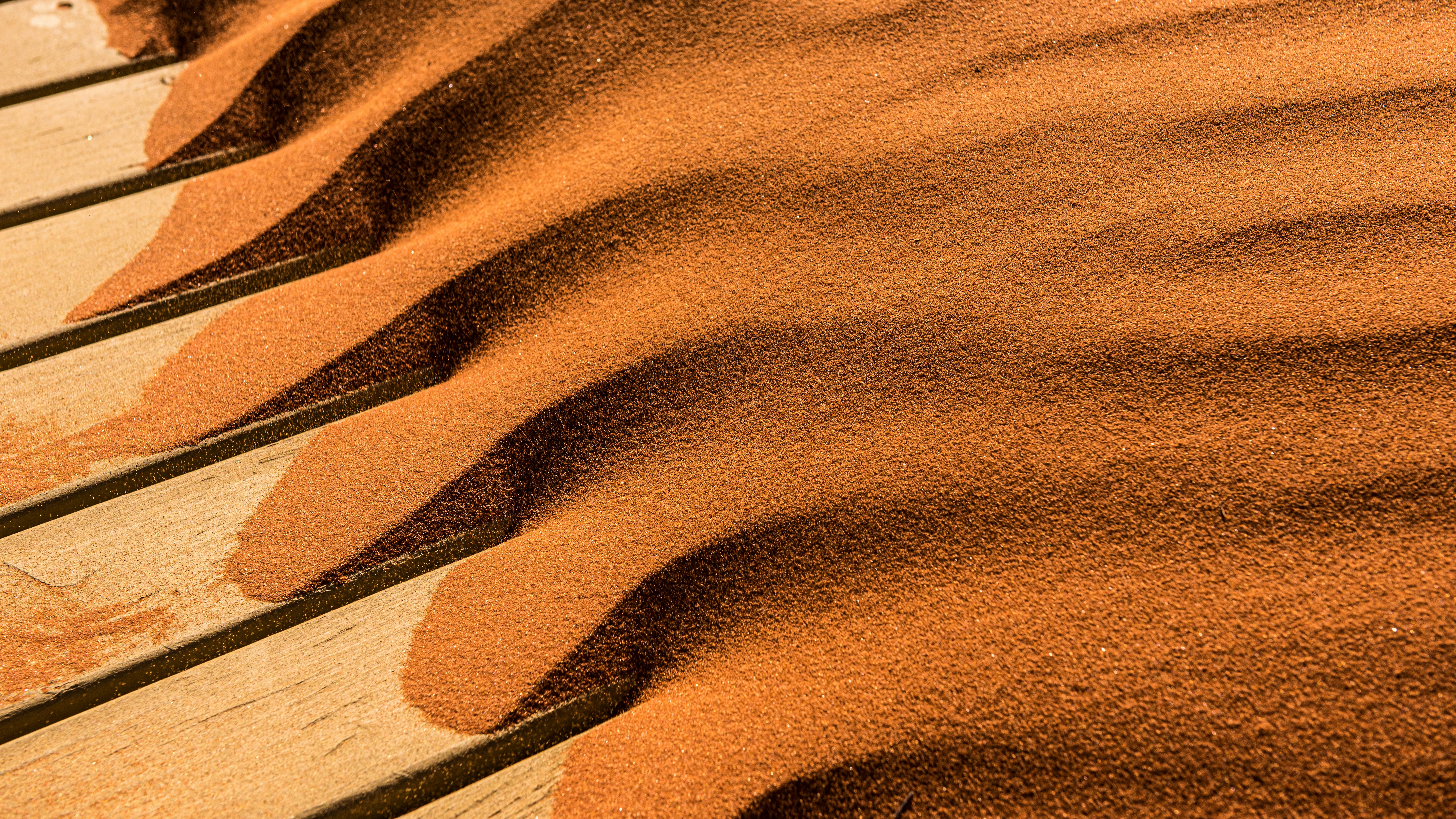 sable meaning