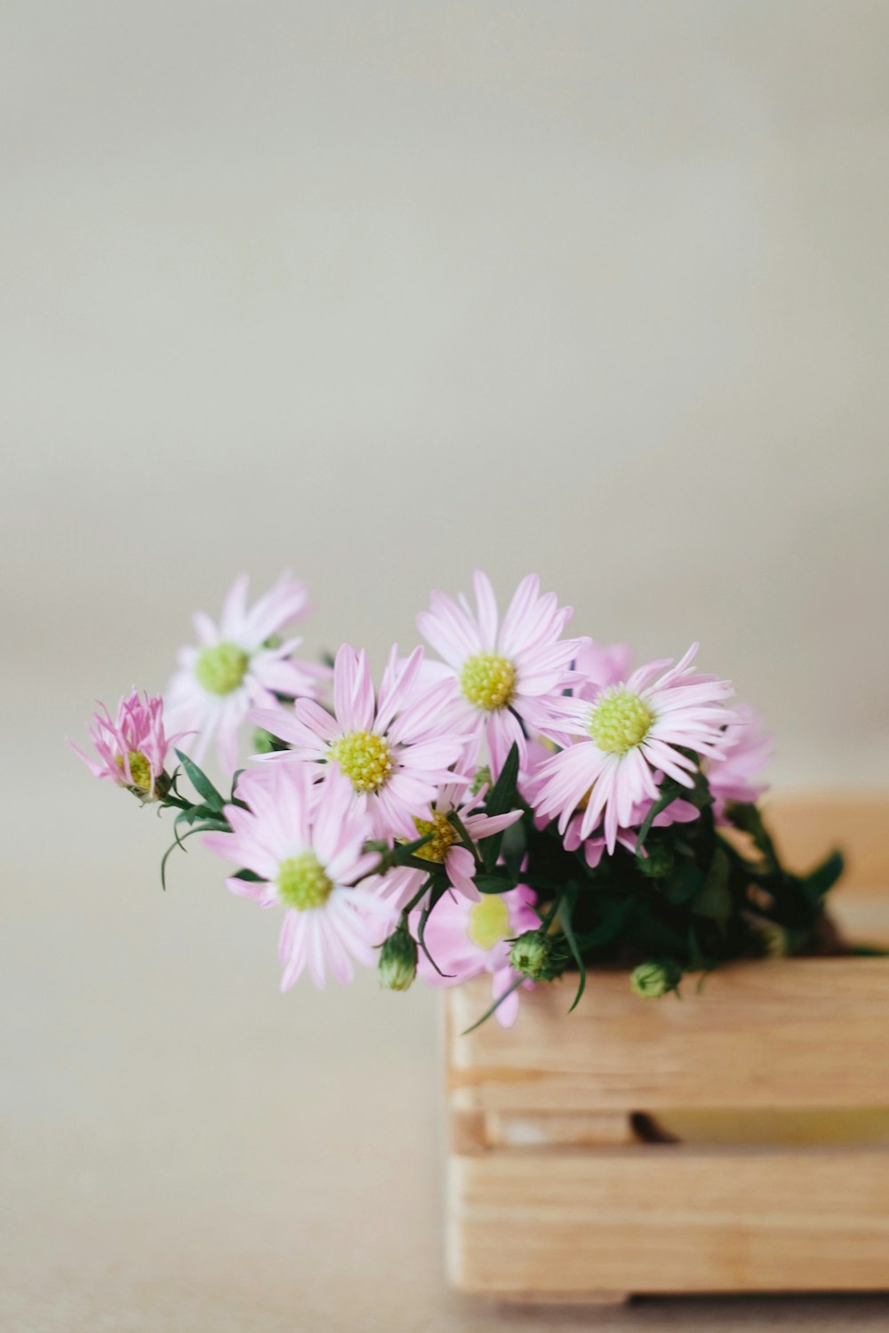 purple and white flowers on brown wooden table