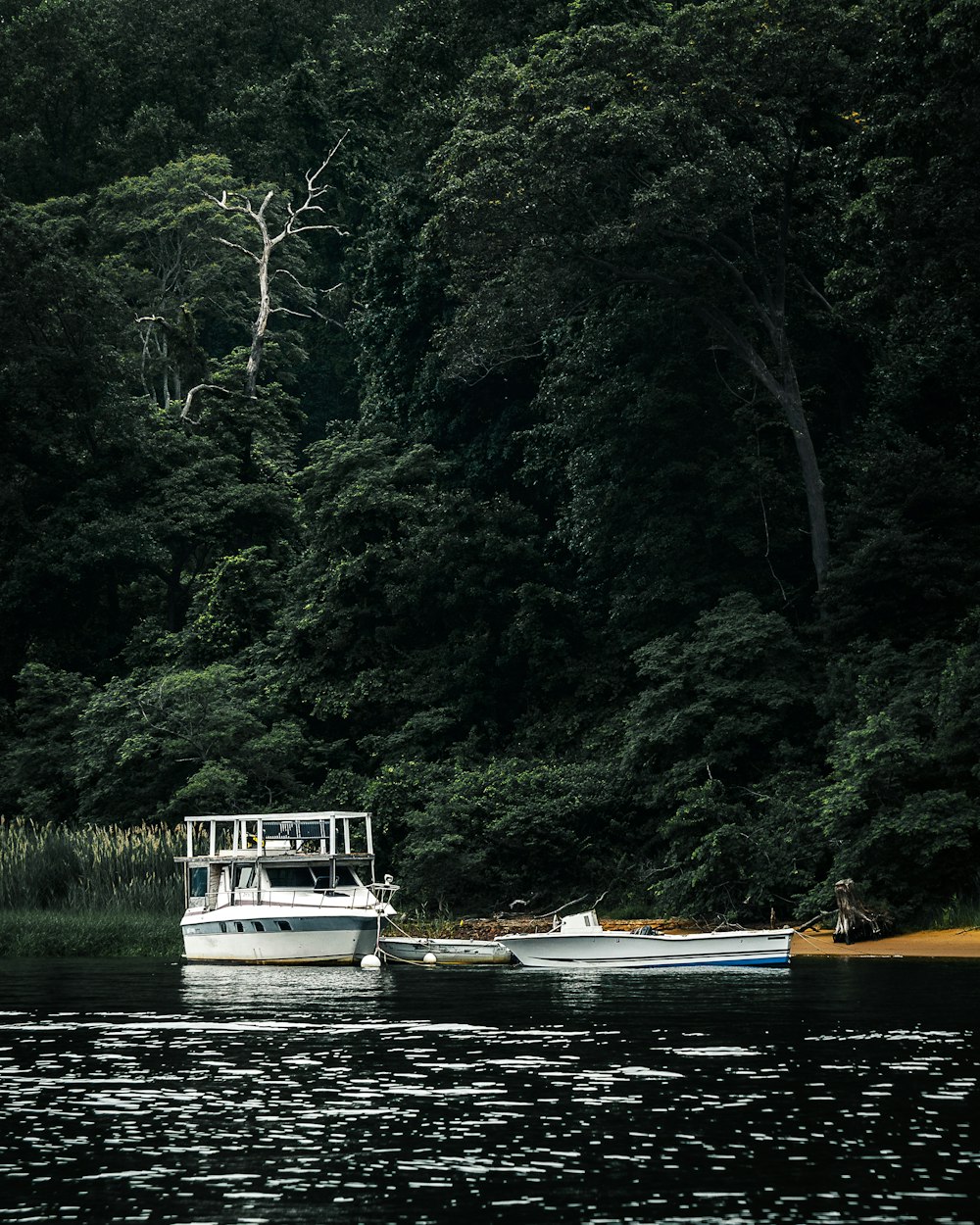 barca bianca e marrone sul fiume durante il giorno