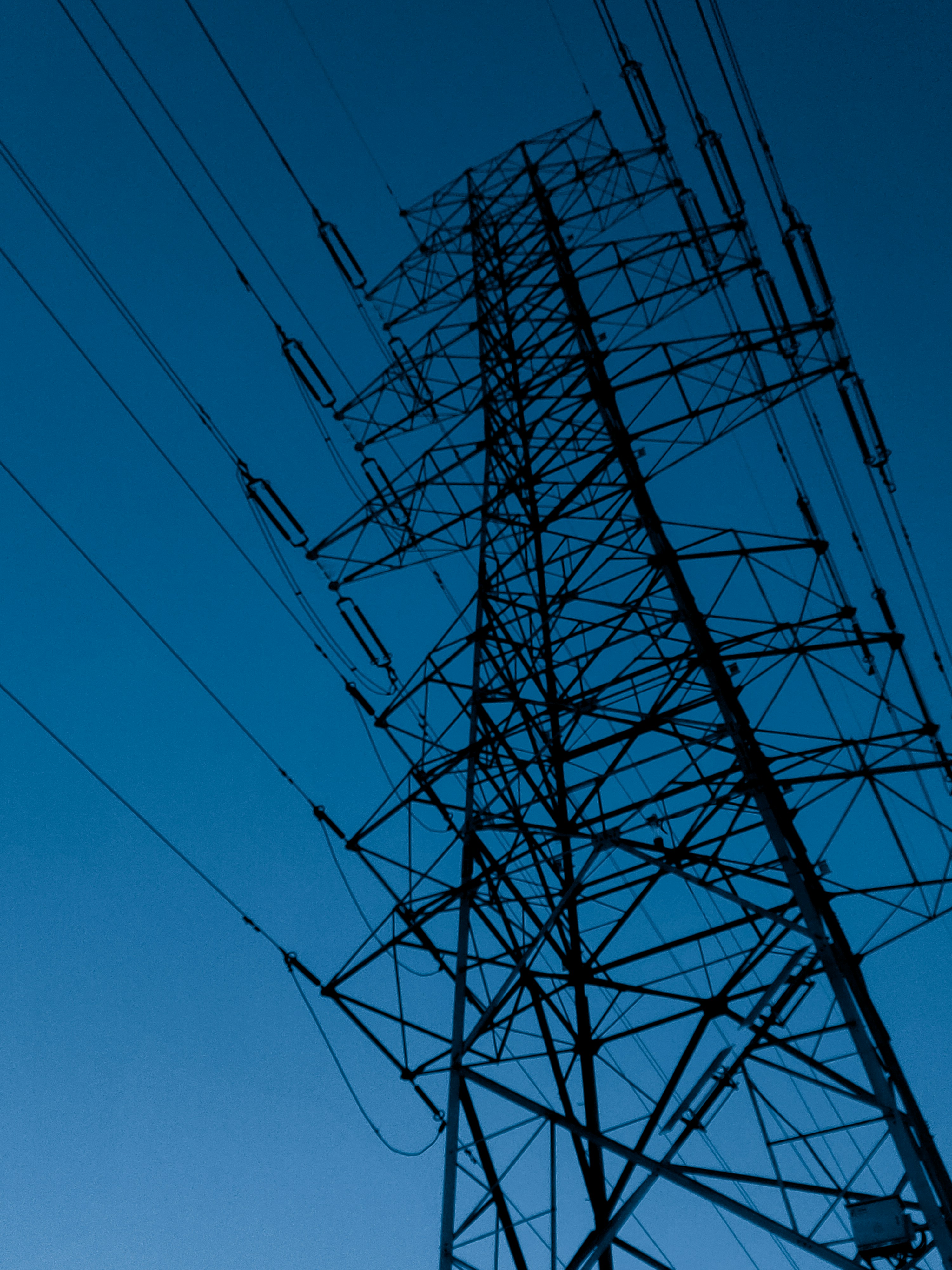 Photo by juniperphoton