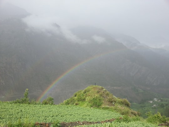 green grass field with rainbow in Himachal Pradesh India