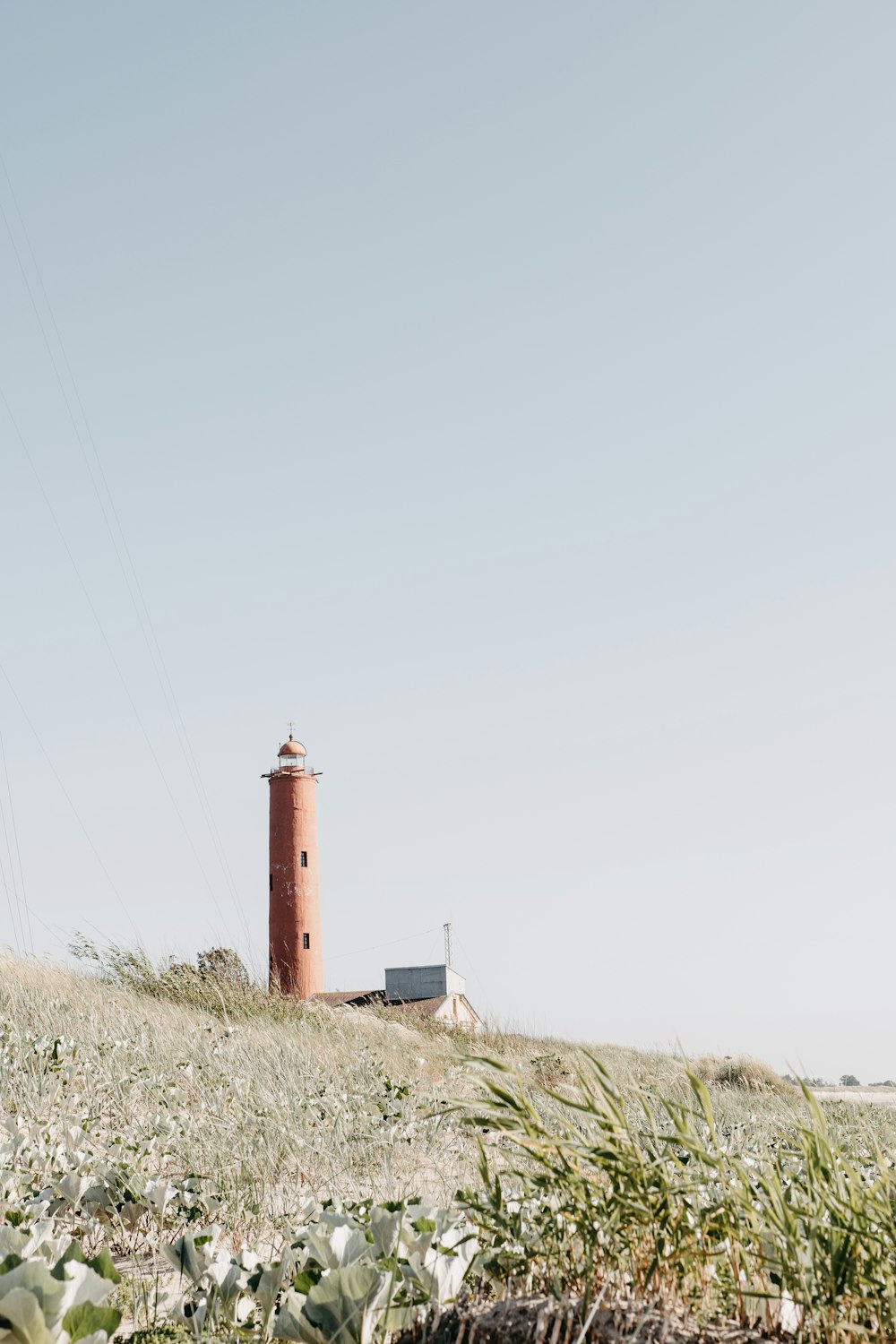 red and white lighthouse on green grass field under white sky during daytime