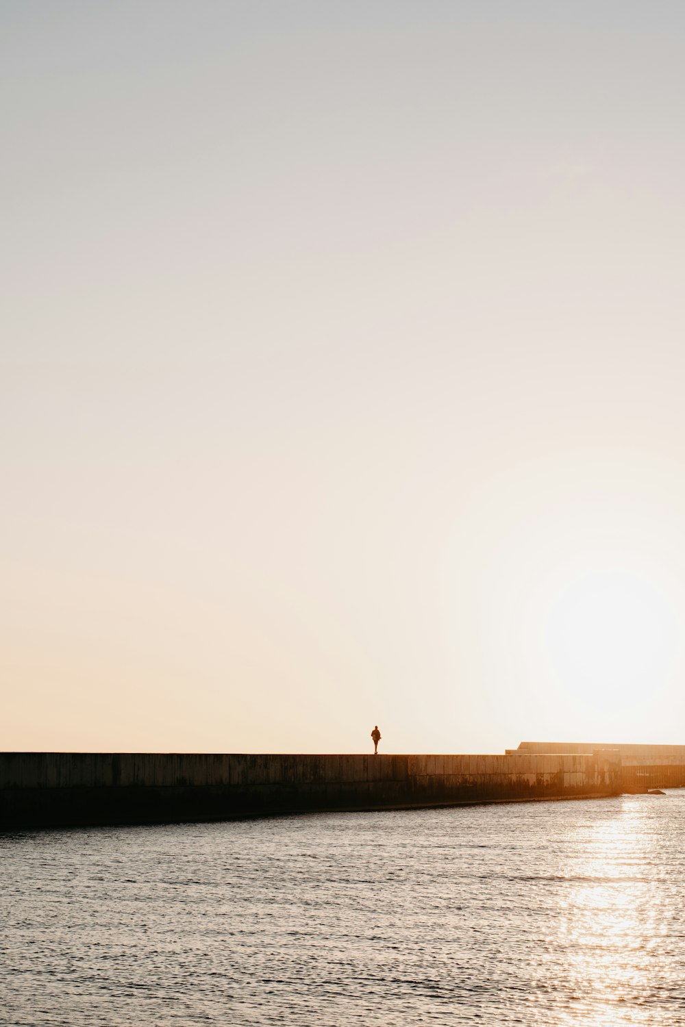 person standing on brown wooden dock during daytime