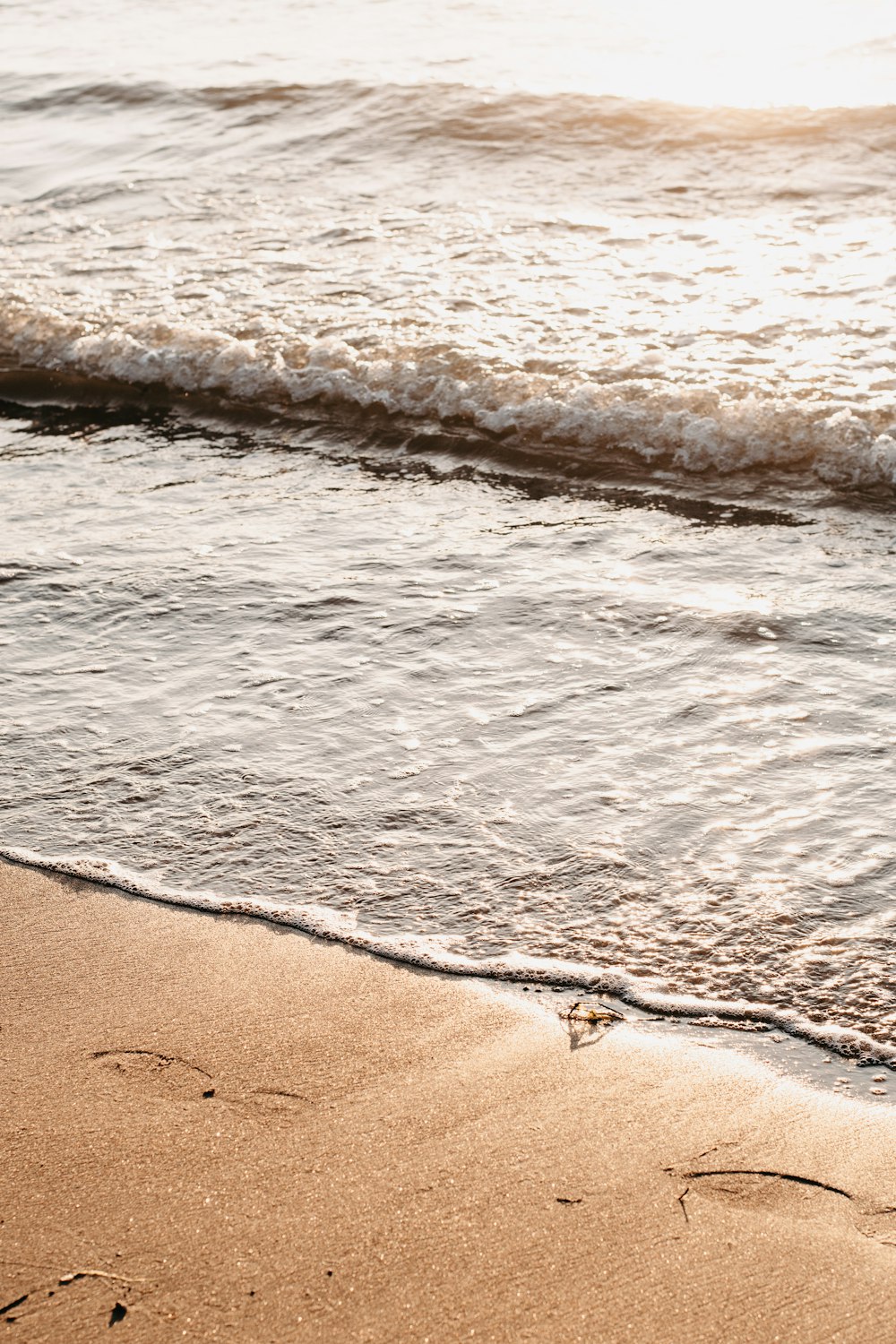 Les vagues de l’océan s’écrasent sur le rivage pendant la journée