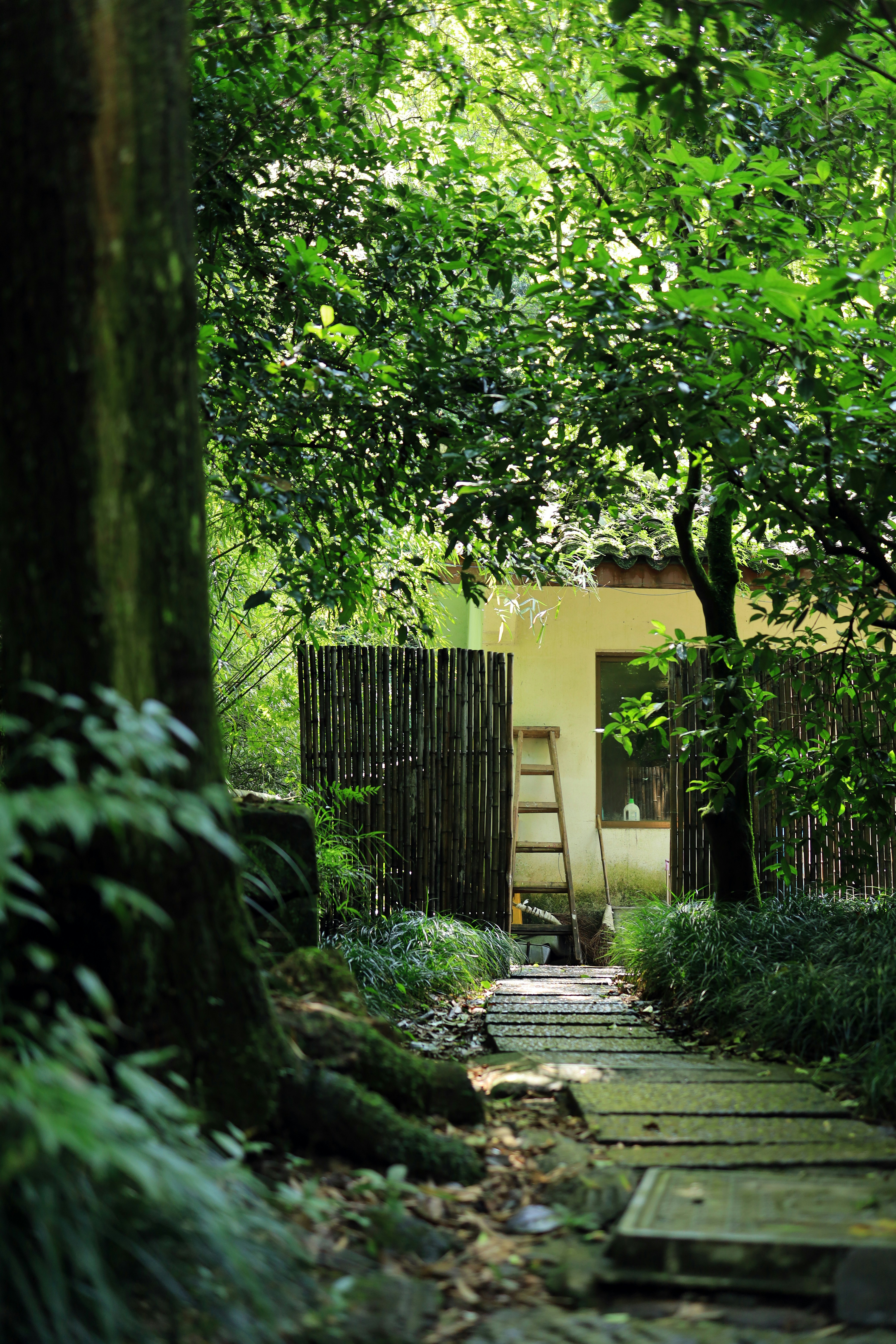 Photo by chongmingliu