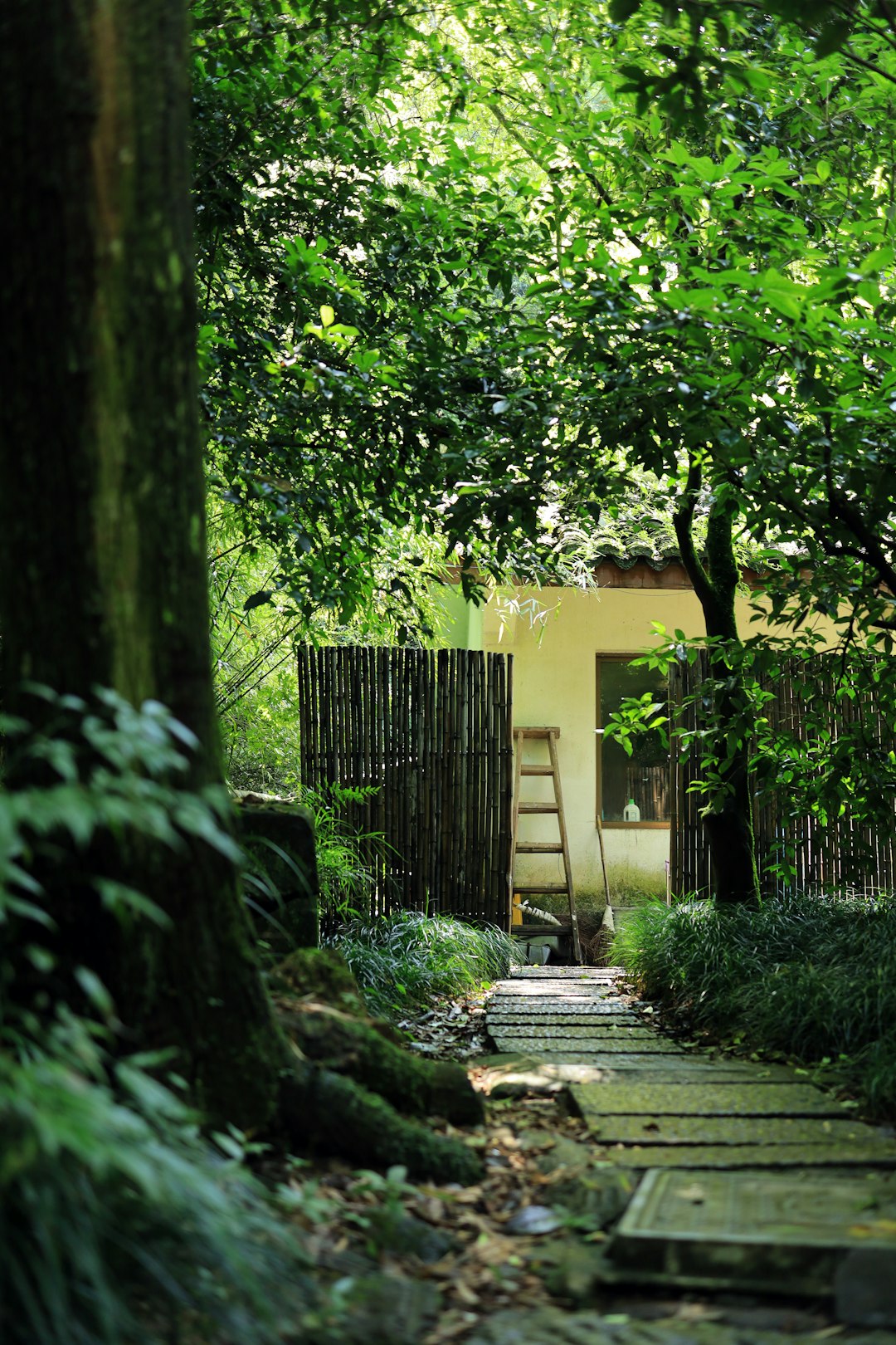 photo of China Nature reserve near Jingci Temple