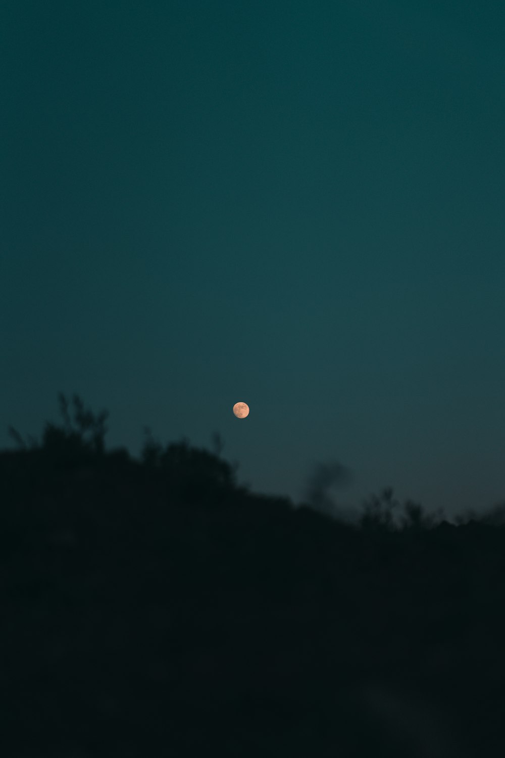 full moon over green trees