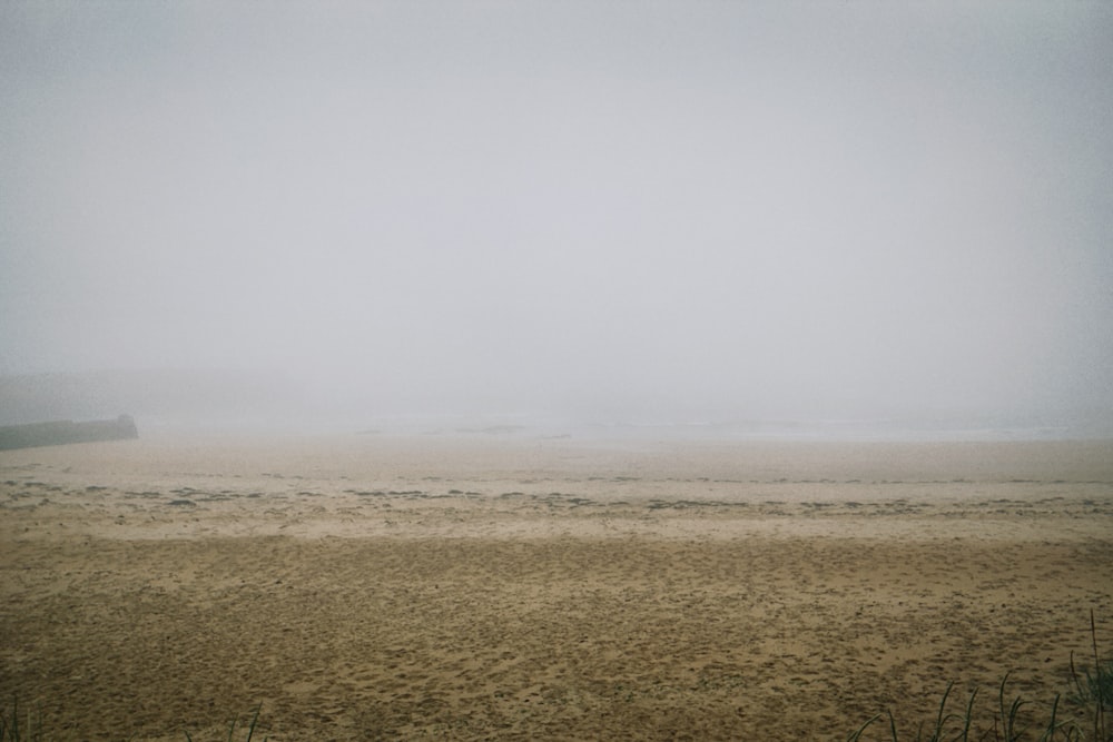 brown grass field under white sky during daytime