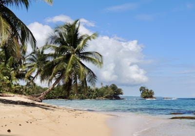 Panama Reisen Sandstrand mit Palmen
