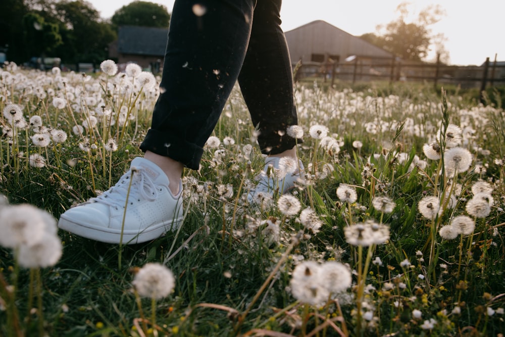 person in black pants and white nike sneakers standing on white dandelion field during daytime