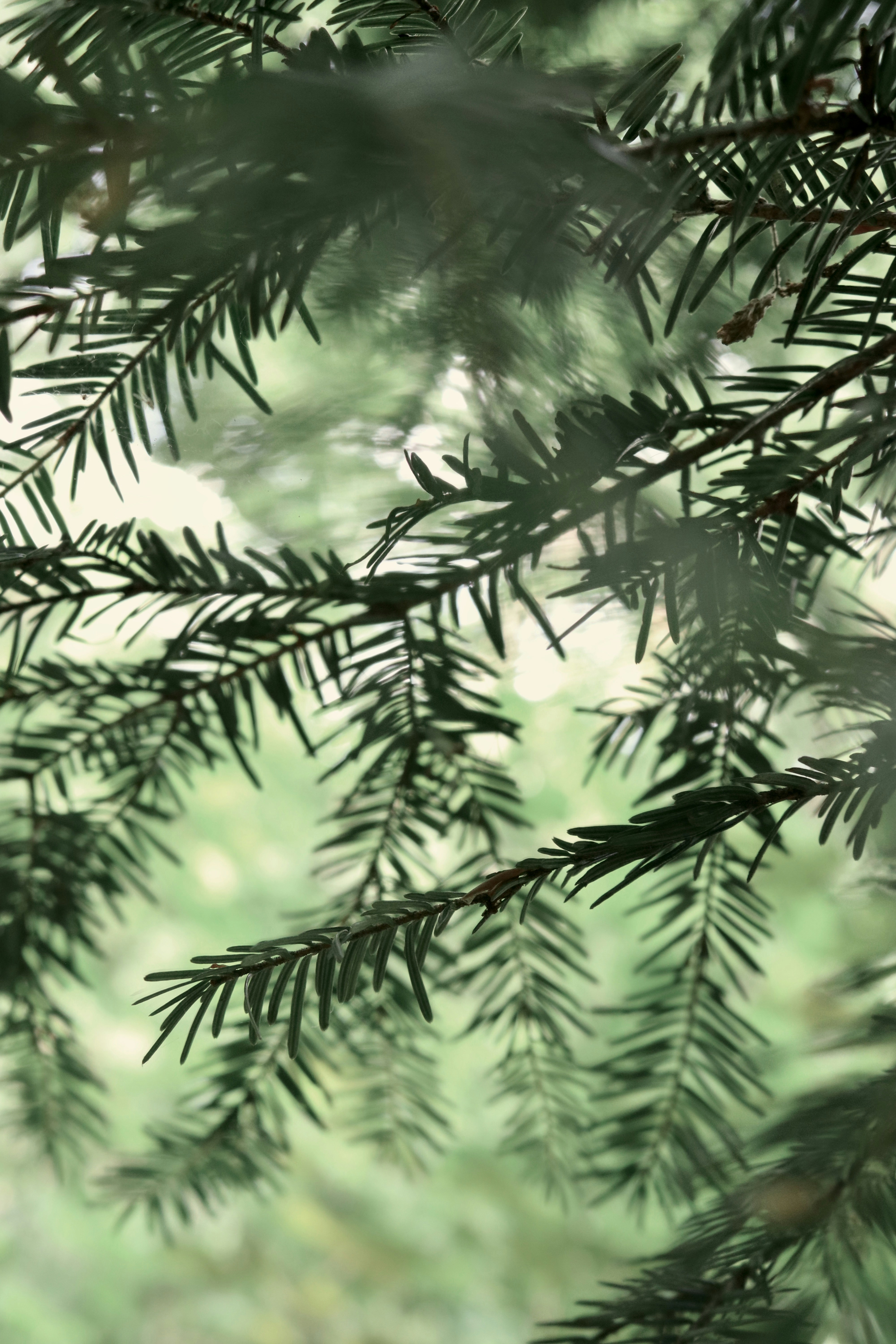 Photo by elisamoldovan