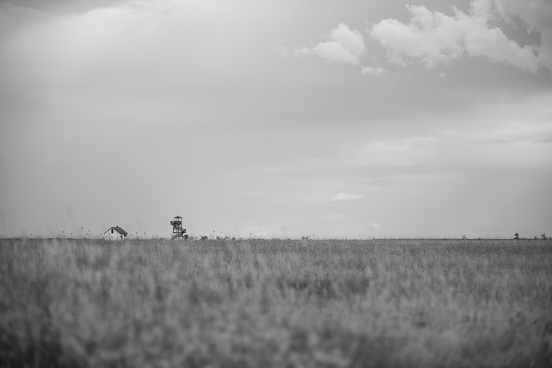 grayscale photo of 2 people sitting on grass field