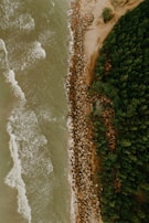 Aerial view of a coastline where the ocean meets a dense green forest. The shoreline is lined with rocks or breakwaters that appear to protect the land from the crashing waves. The ocean has a muted greenish color, and whitecaps are visible along the water's surface.