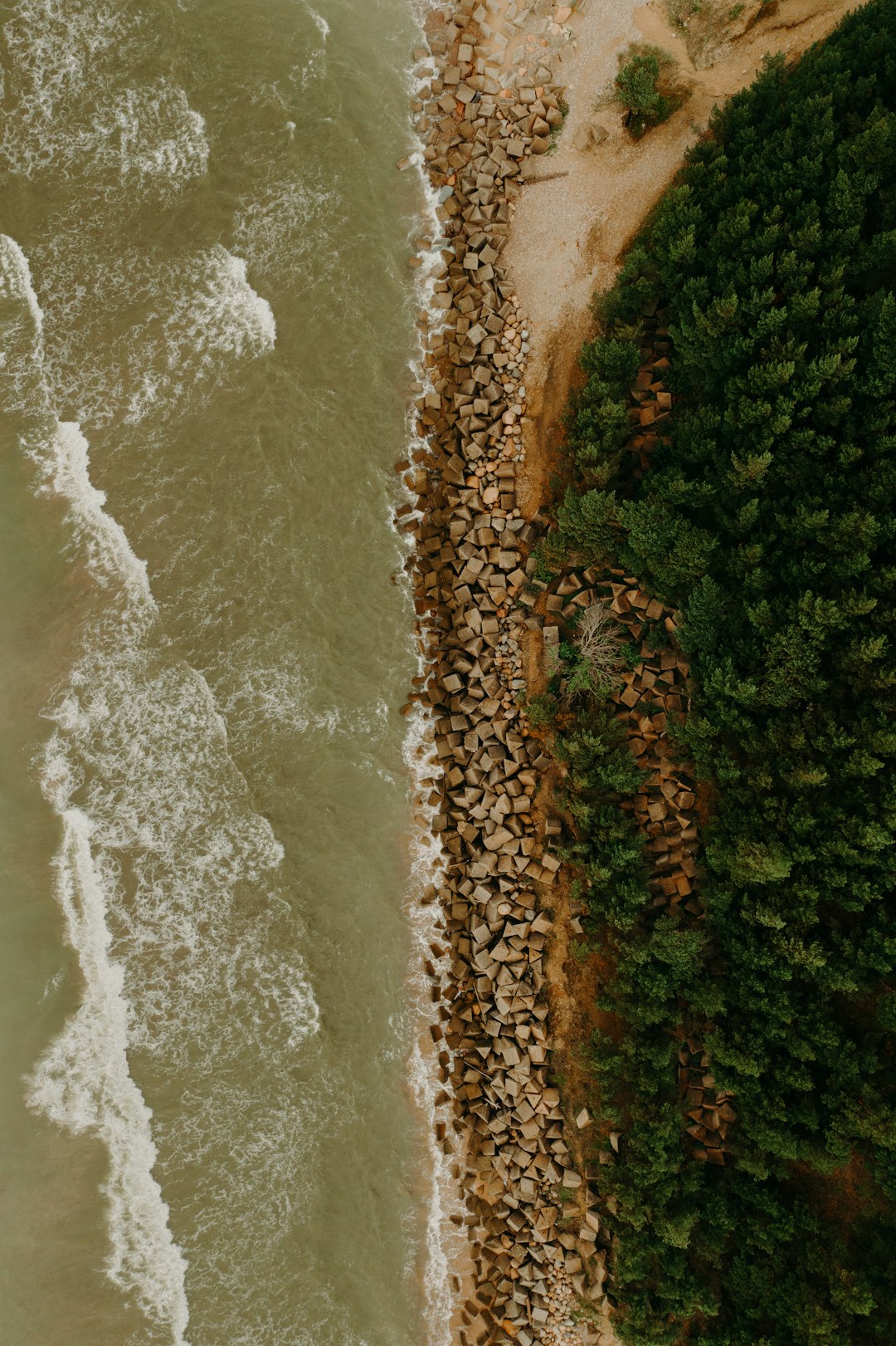 aerial view of green trees and brown field