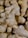A close-up view of several ginger roots with rough, light brown skin and knobby surfaces.