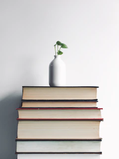A minimalist bookshelf with a few carefully chosen books and a small plant, symbolizing knowledge and growth.