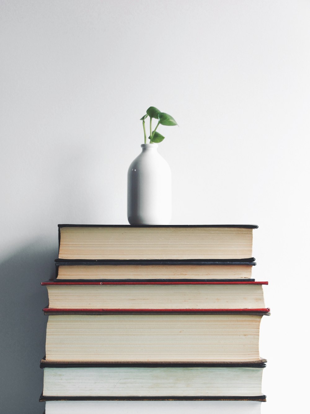 white ceramic vase with green plant on top of books