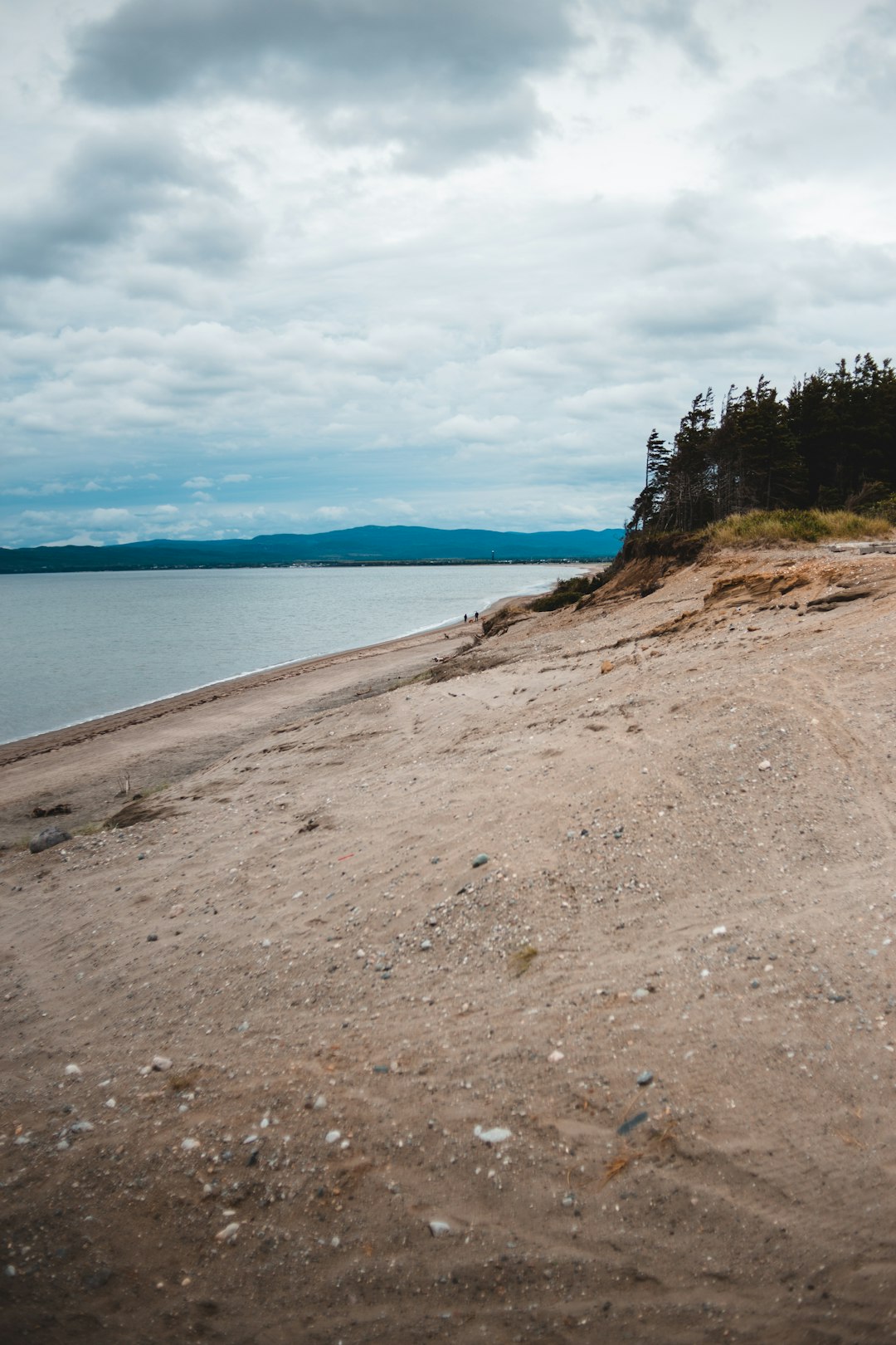 brown sand near body of water during daytime