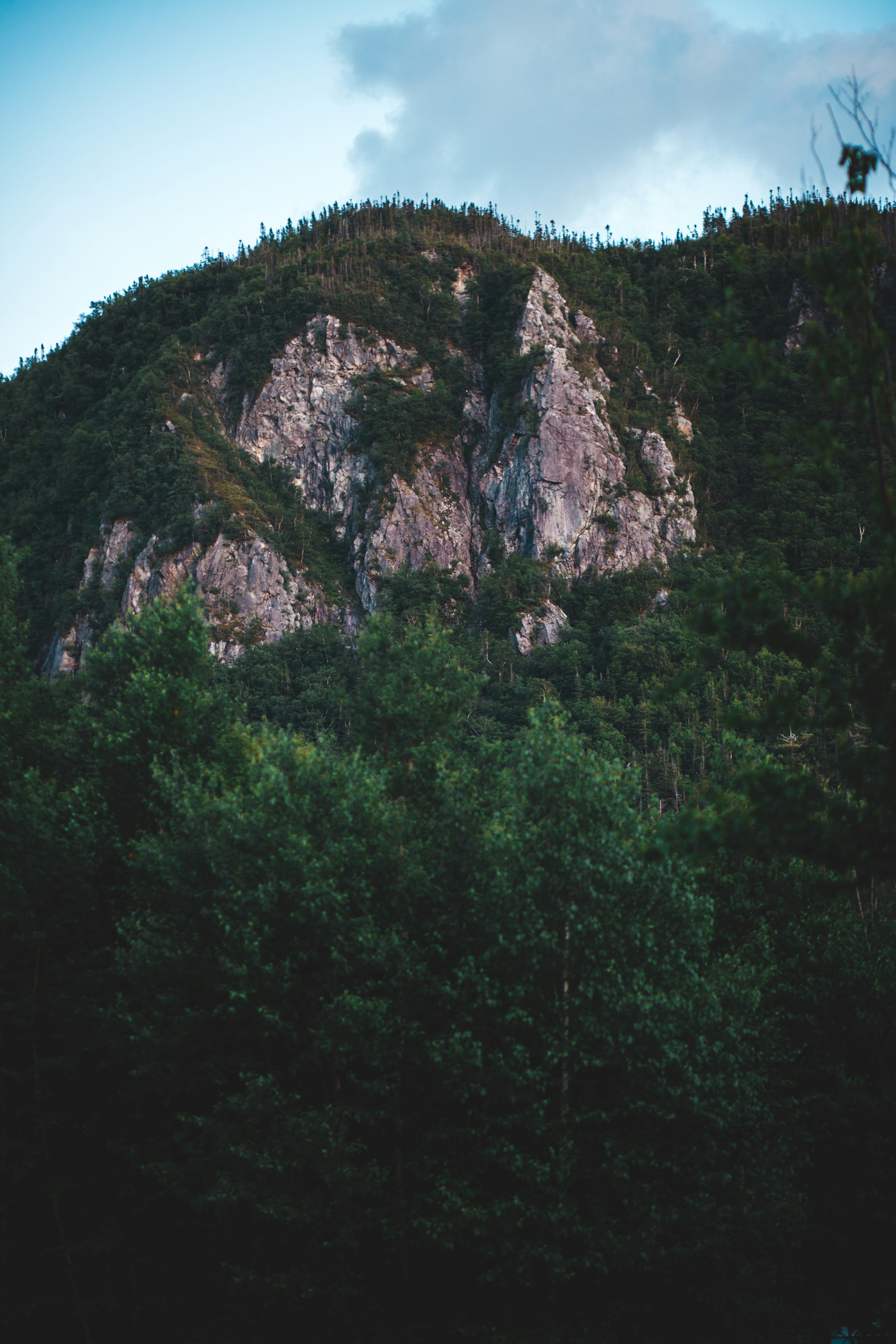 Photo by introspectivedsgn