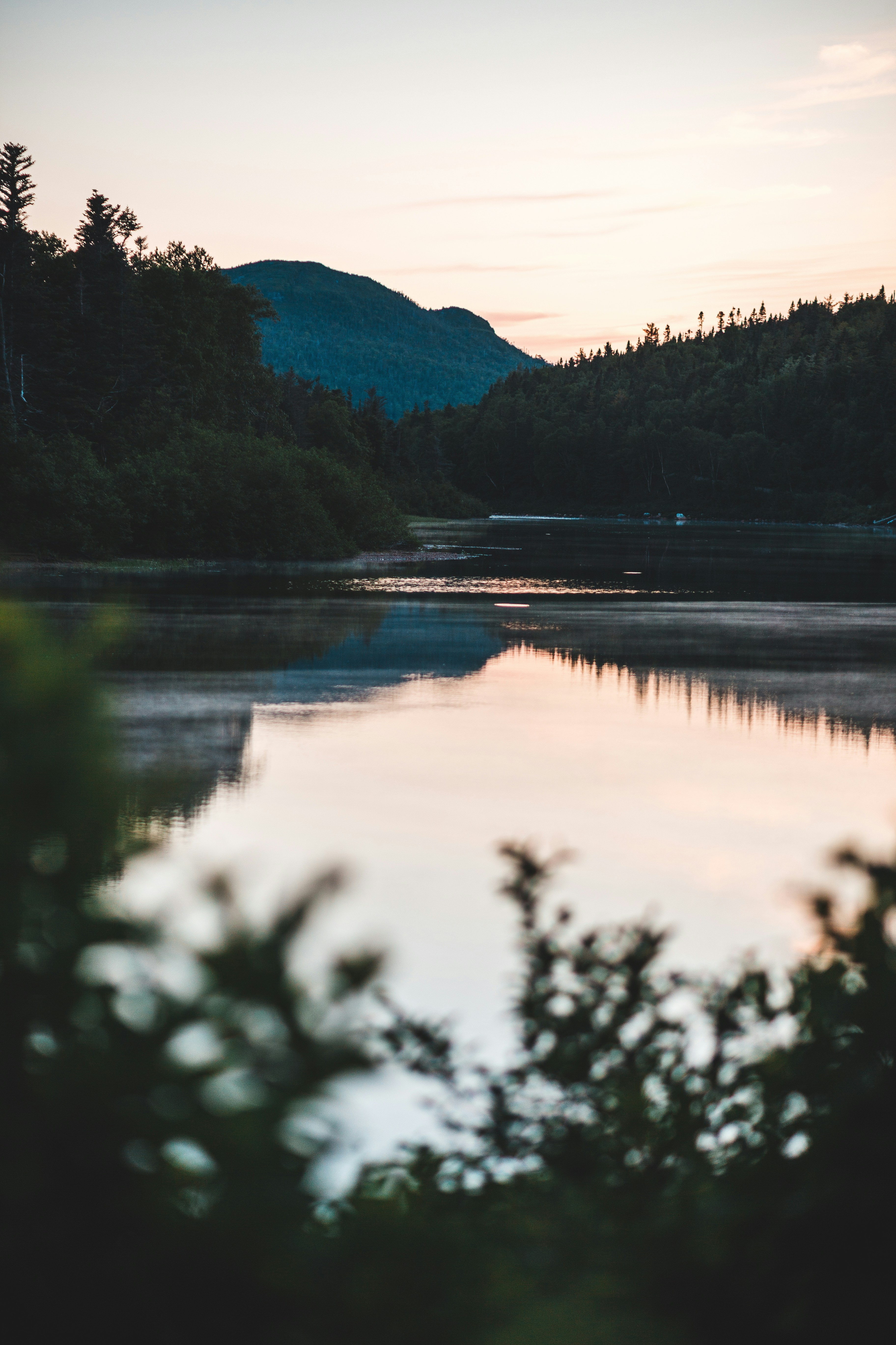Photo by introspectivedsgn